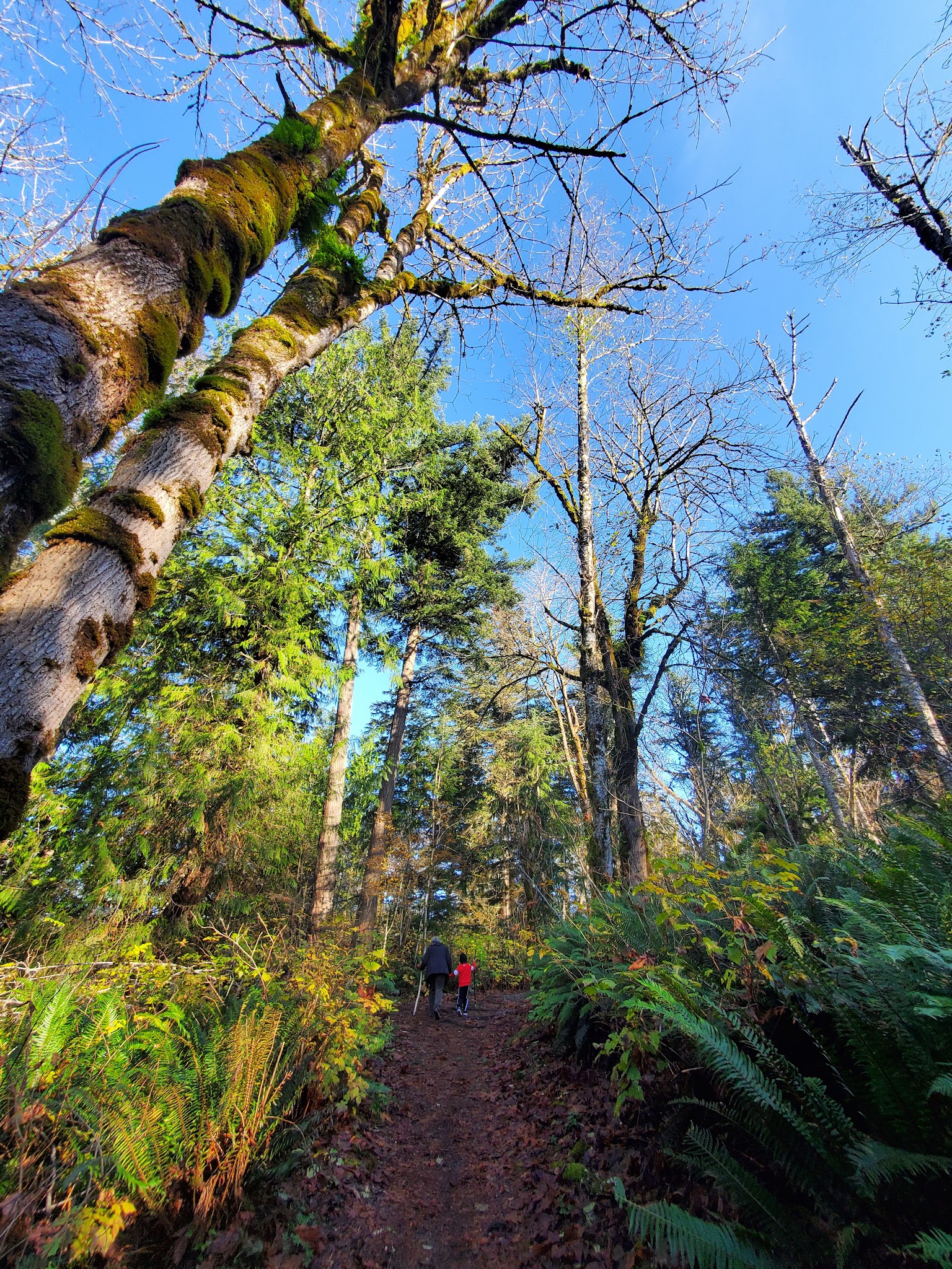 Kanaskat-Palmer State Park