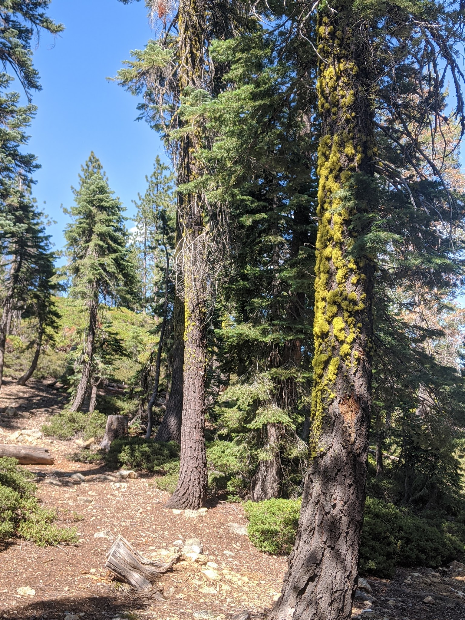 Kangaroo Lake Campground