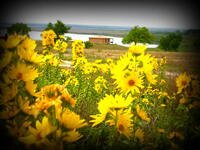 Cedar Bluff State Park
