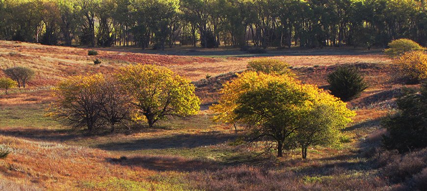 Cedar Bluff State Park