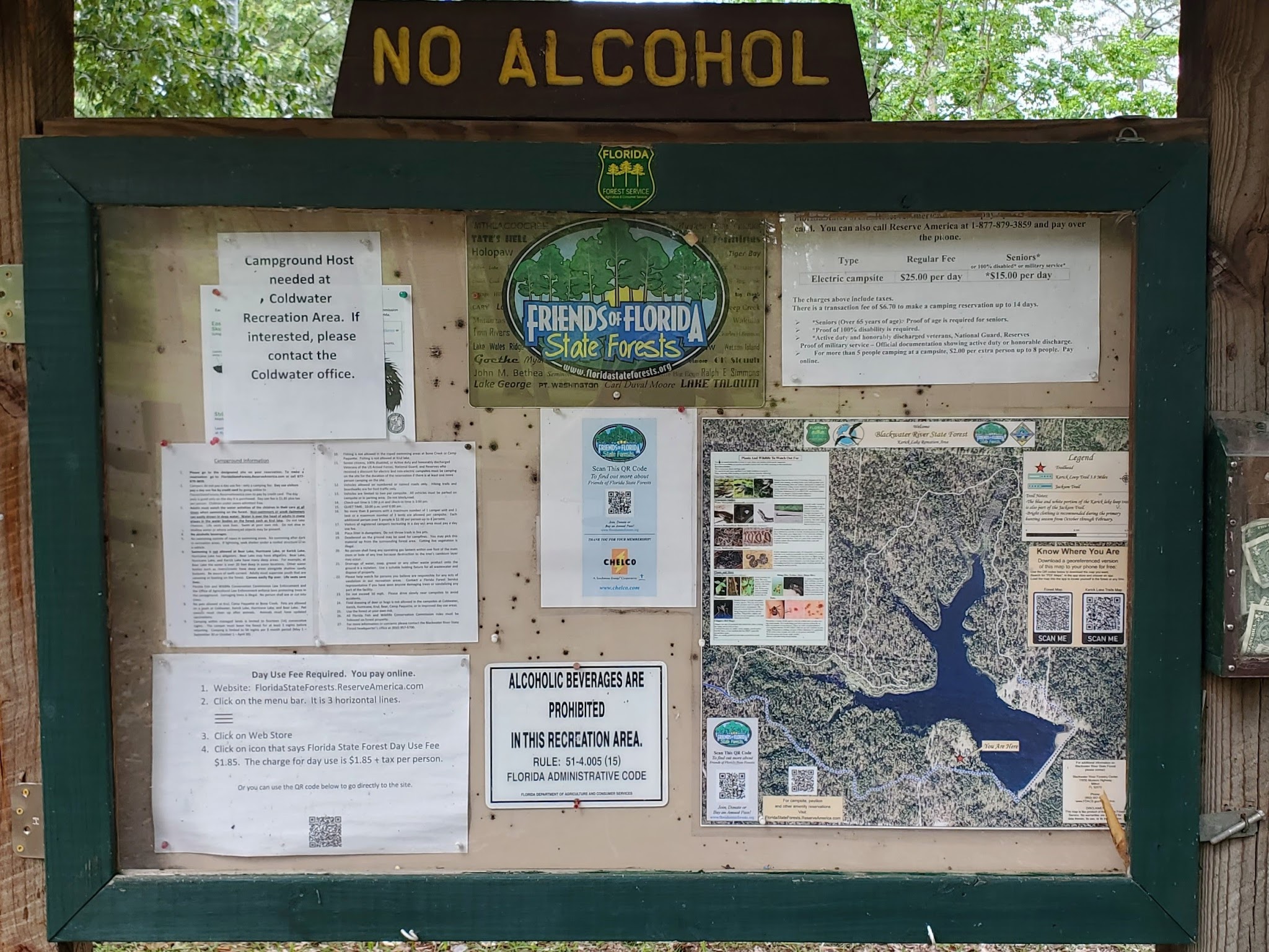 Karick Lake South Campground Blackwater River State Forest