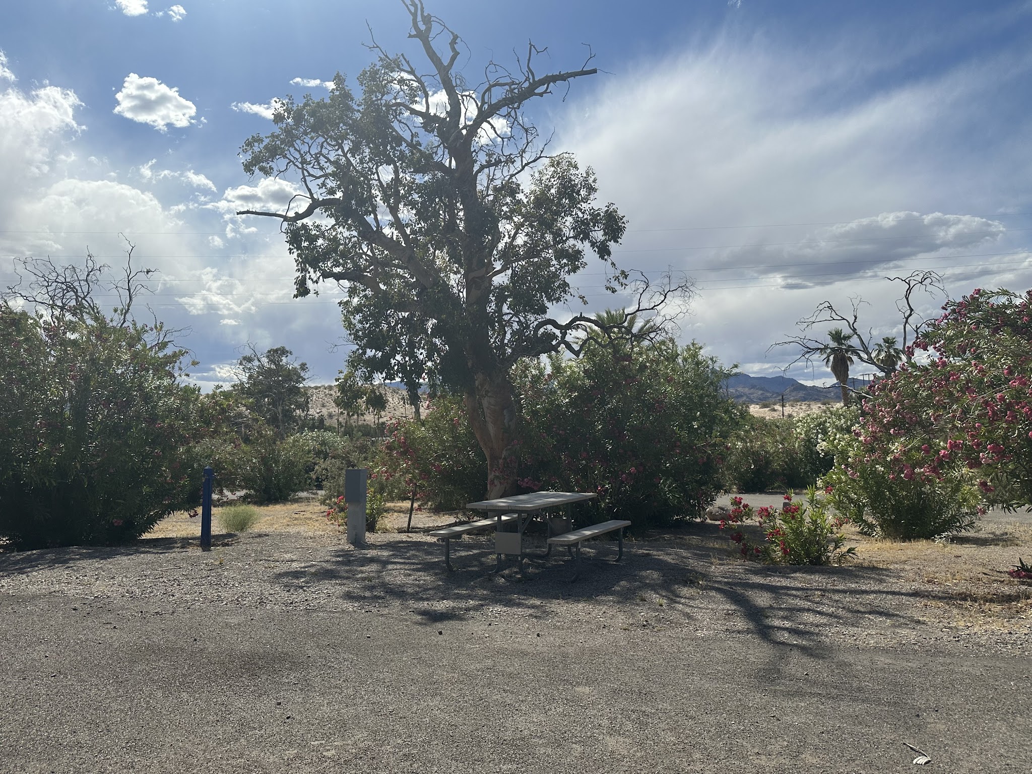 Katherine Landing Campground (Lake Mohave)