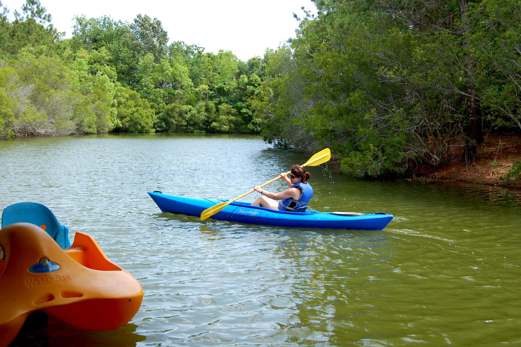 The Campground At James Island County Park