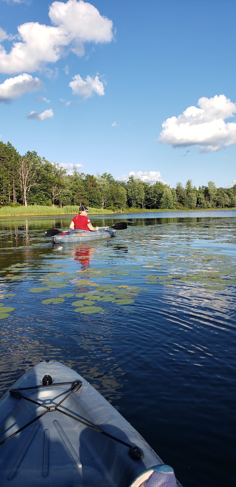 Goose Lake State Forest Campground
