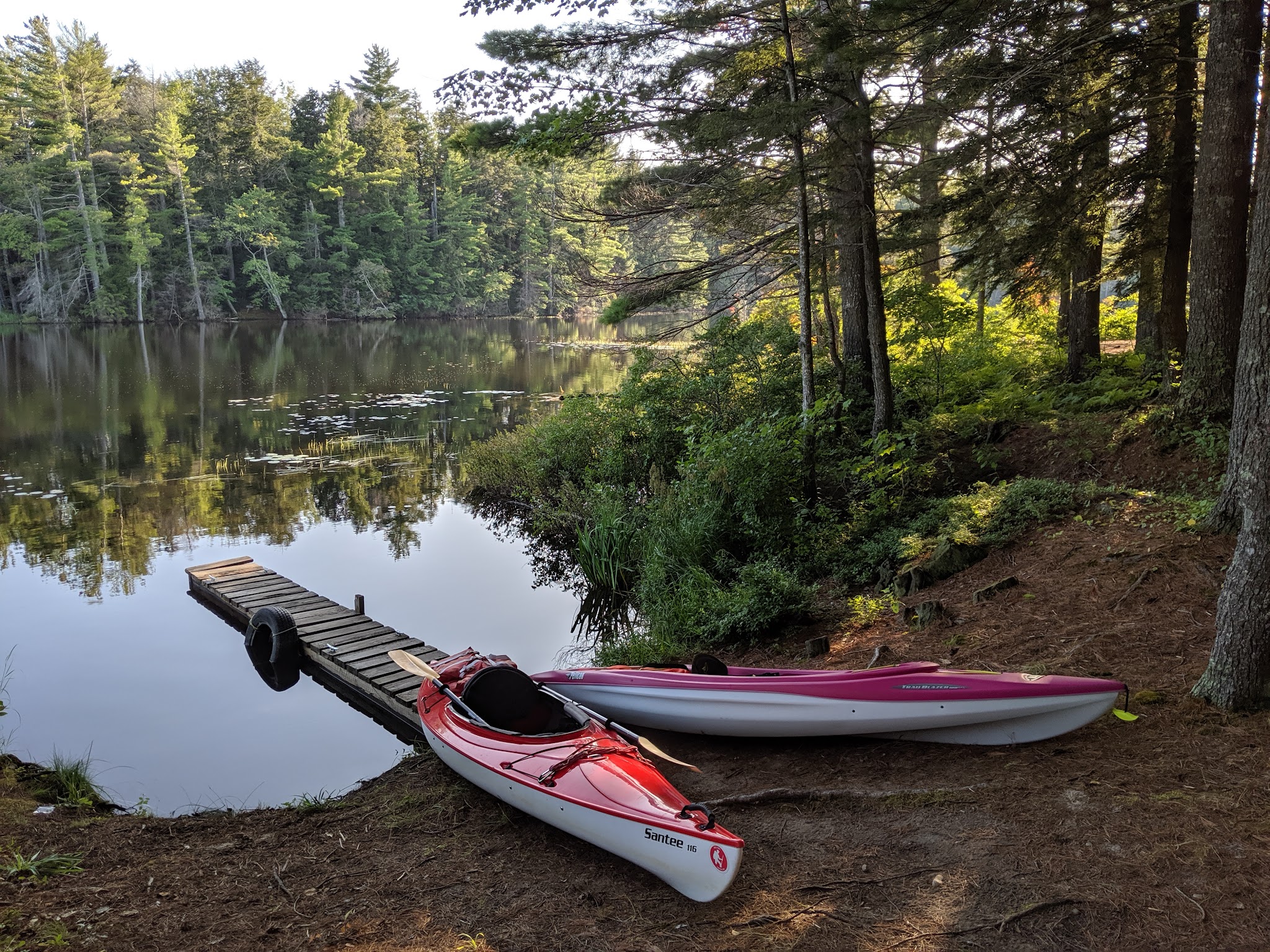 North Gemini Lake State Forest Campground