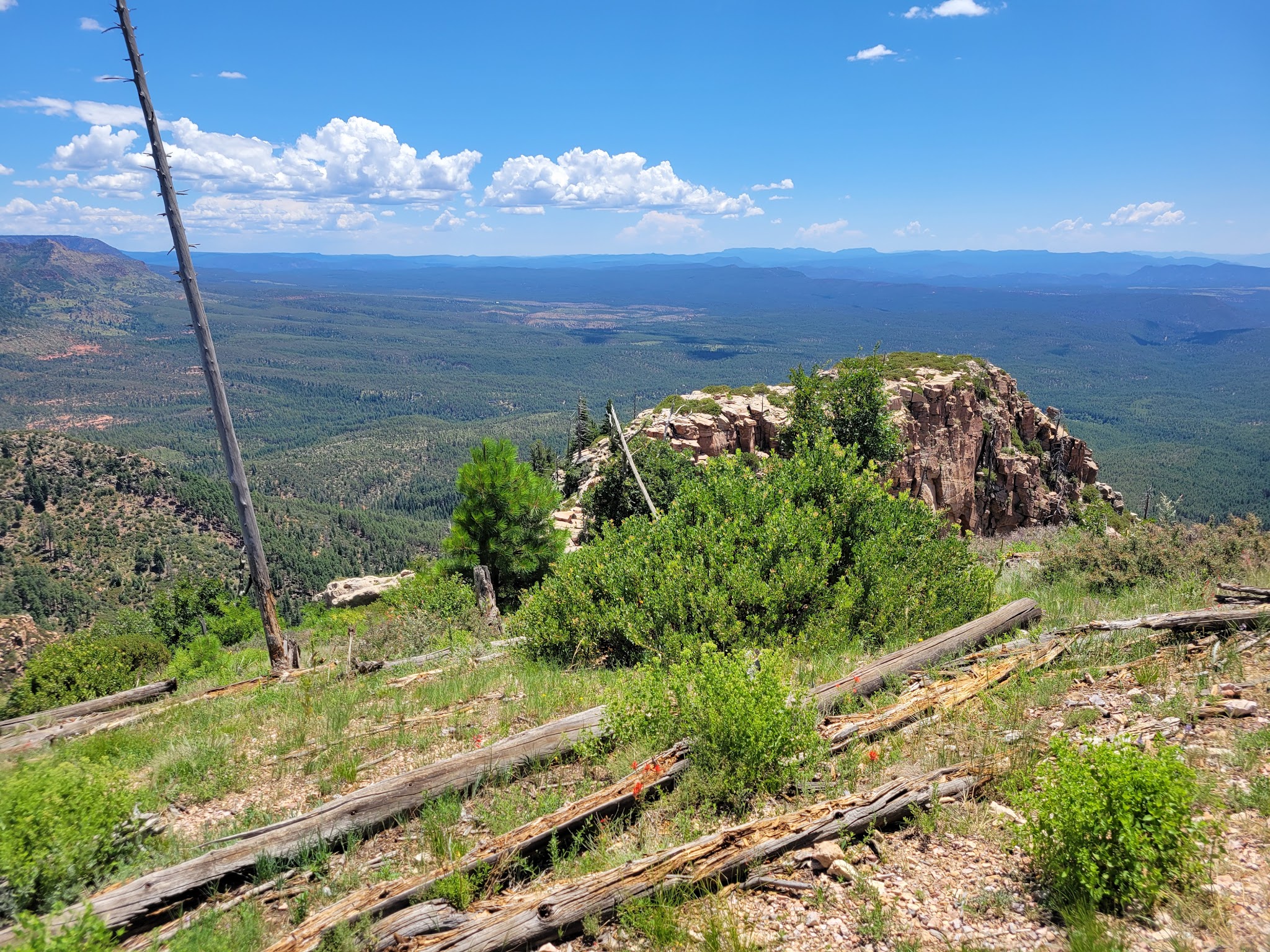 Kehl Springs Campground