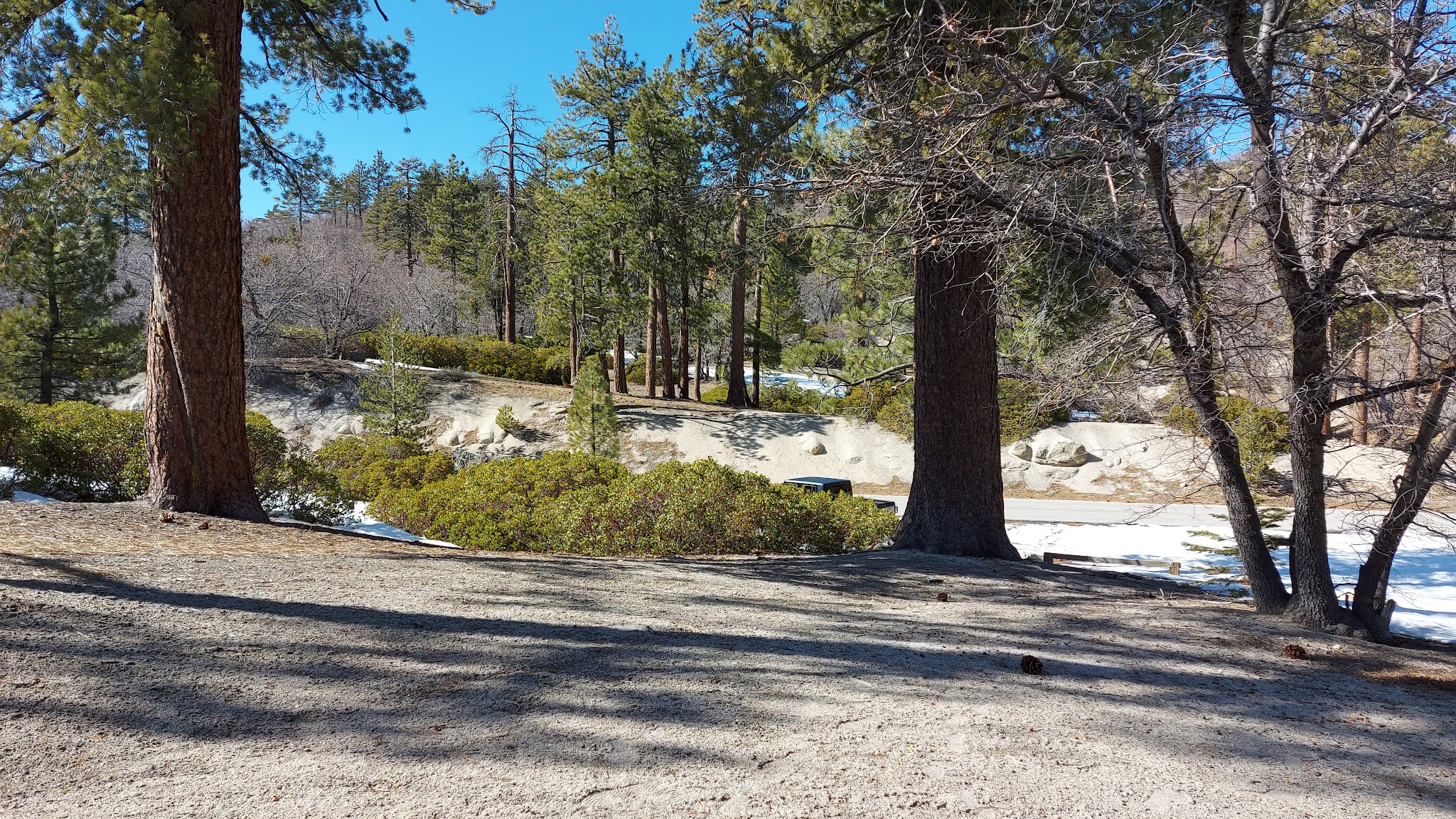 Keller Peak Yellow Post Sites