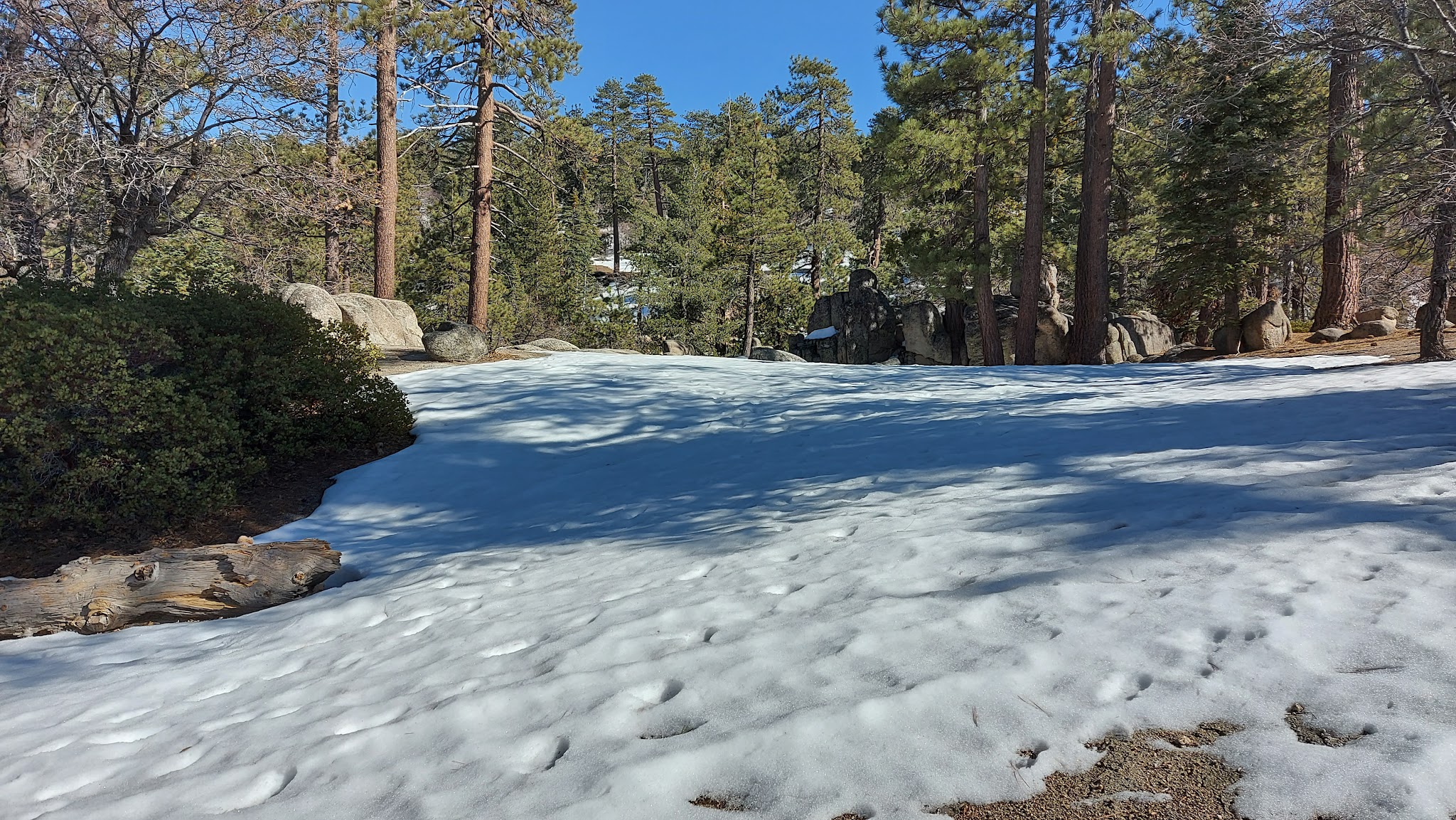 Keller Peak Yellow Post Sites