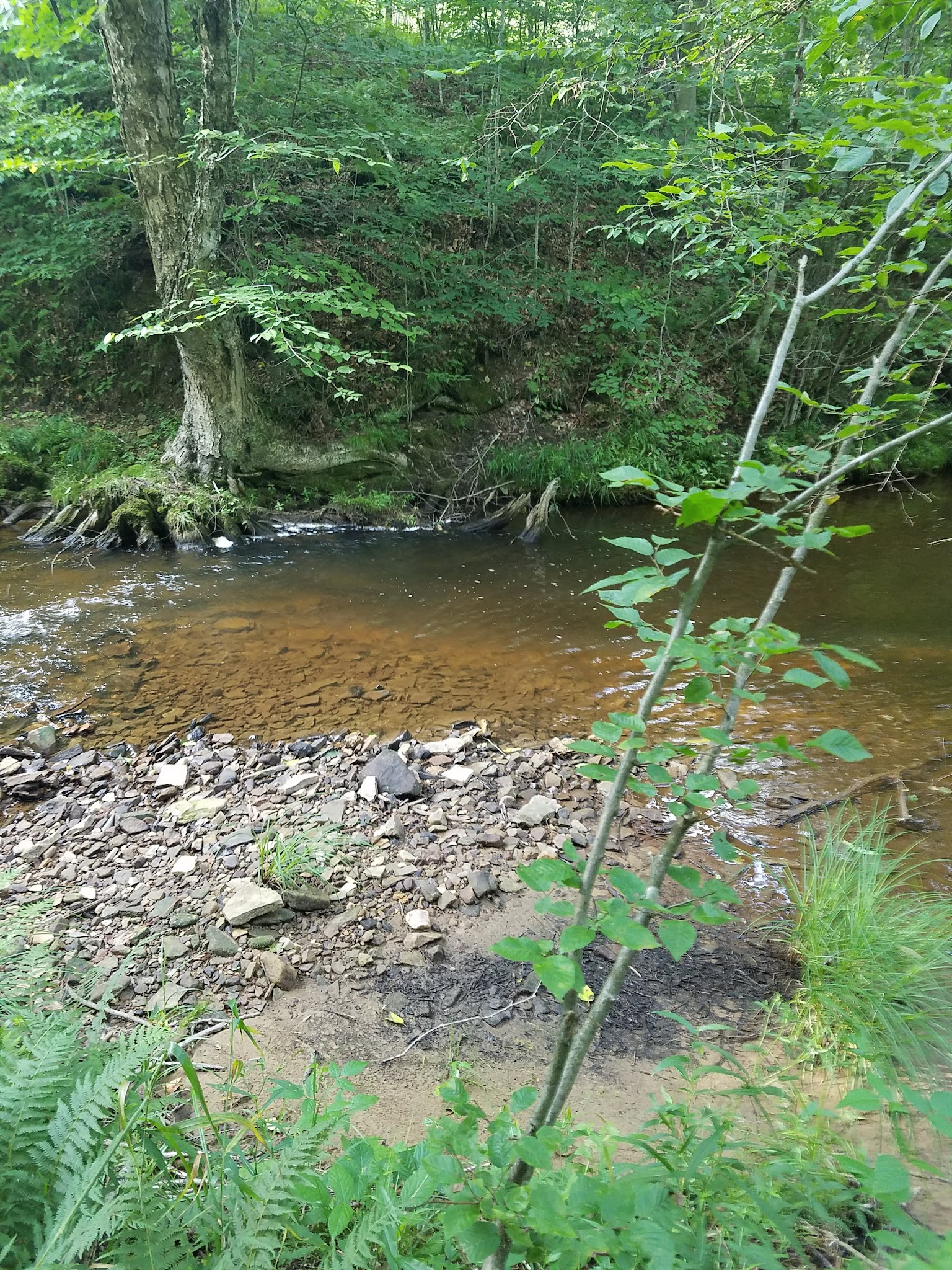 Kelly Pines Campground