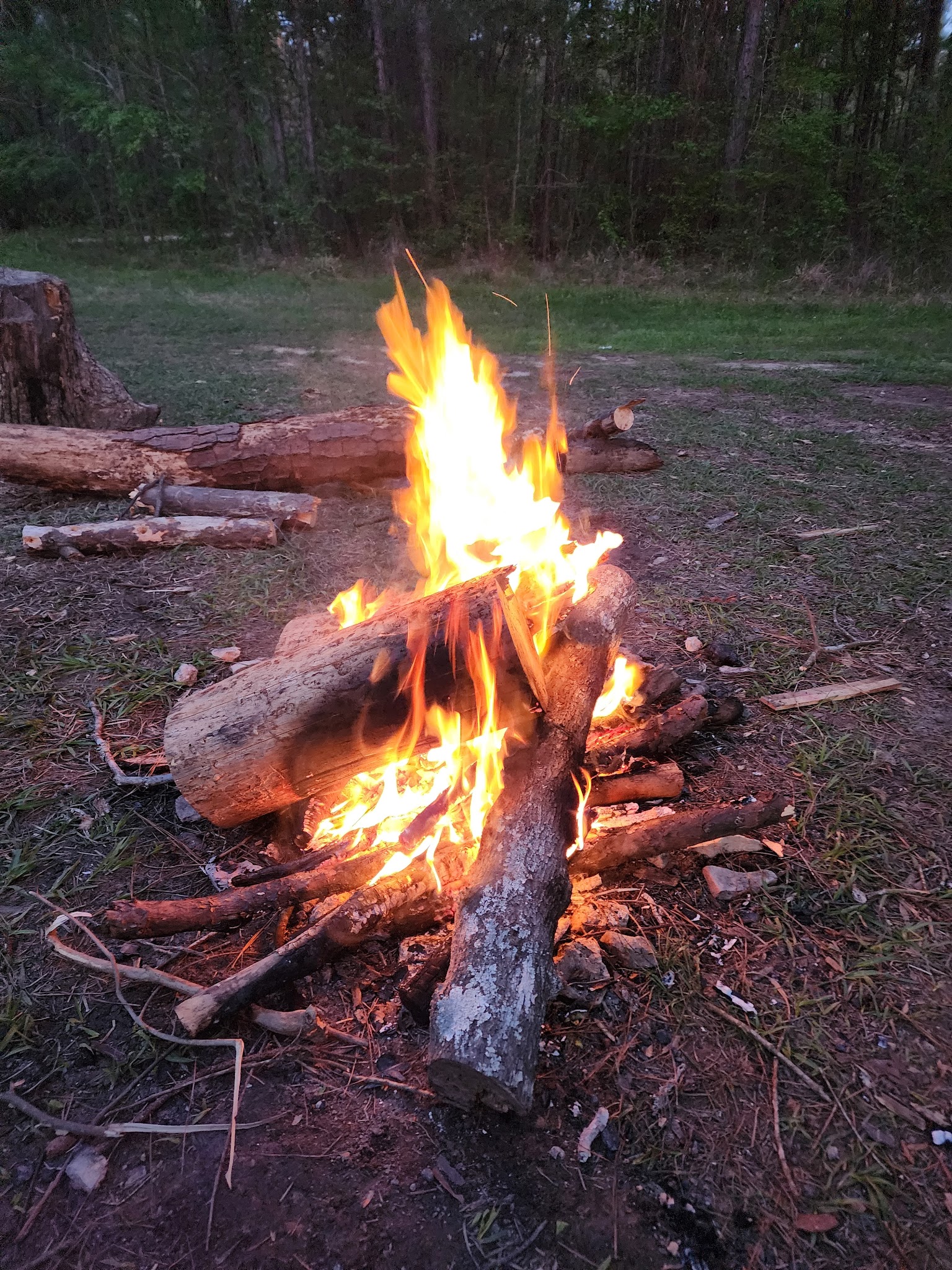 Kelly'S Pond Campground: (936) 344-6205