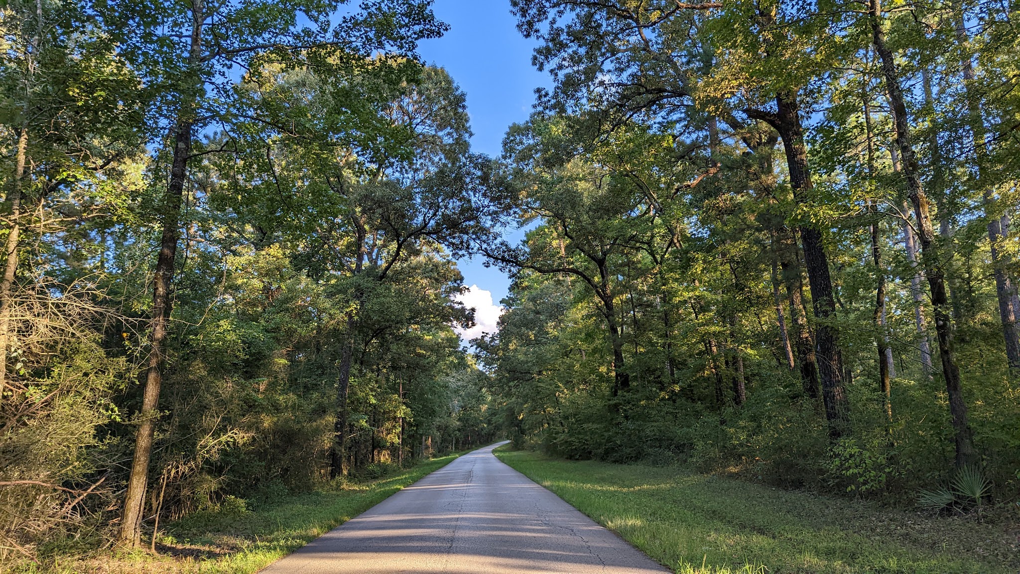 Kelly'S Pond Campground: (936) 344-6205