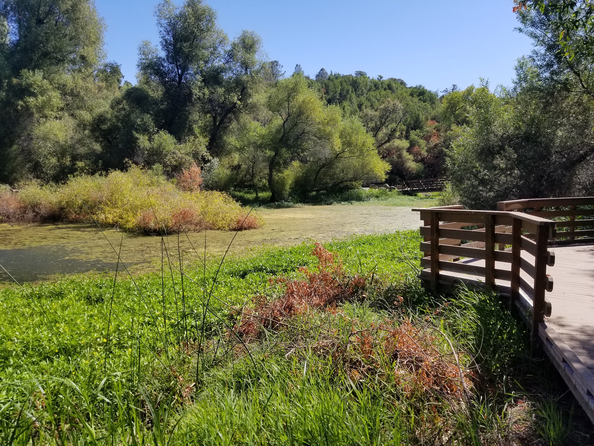 Kelsey Creek Campground