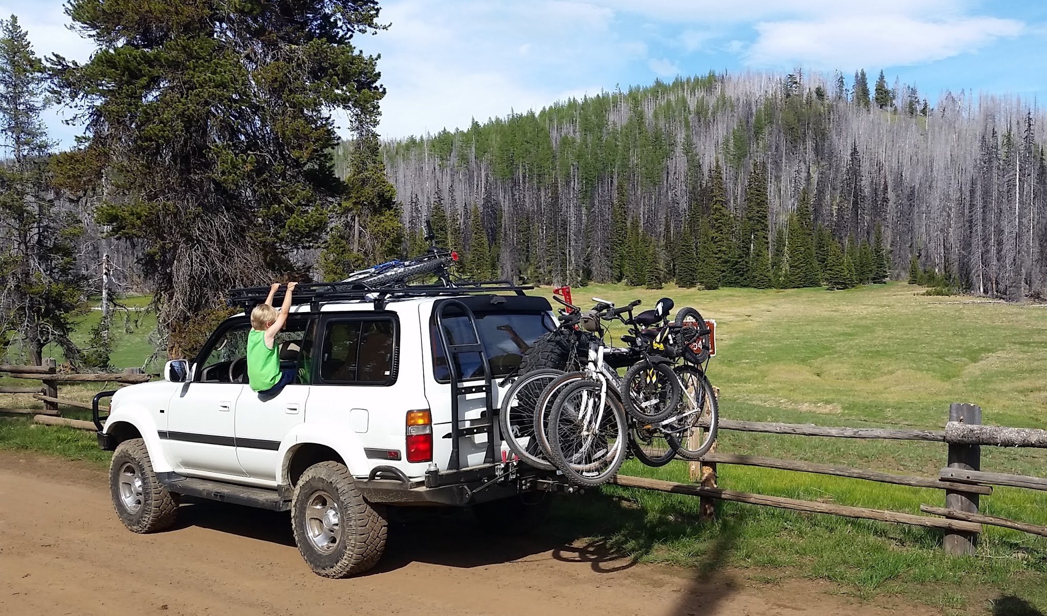 Ken Wilcox Campground At Haney Meadows