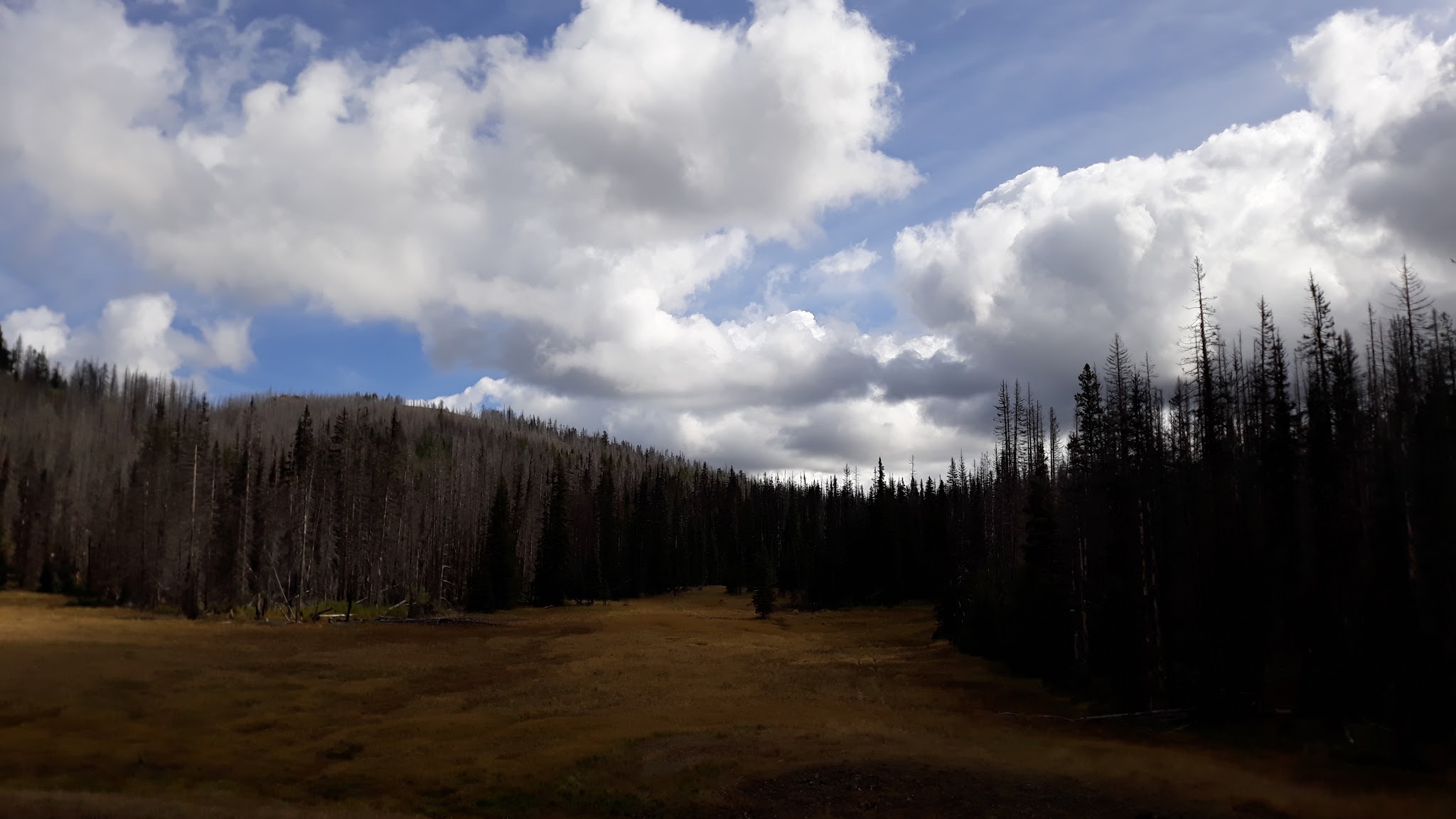 Ken Wilcox Campground At Haney Meadows