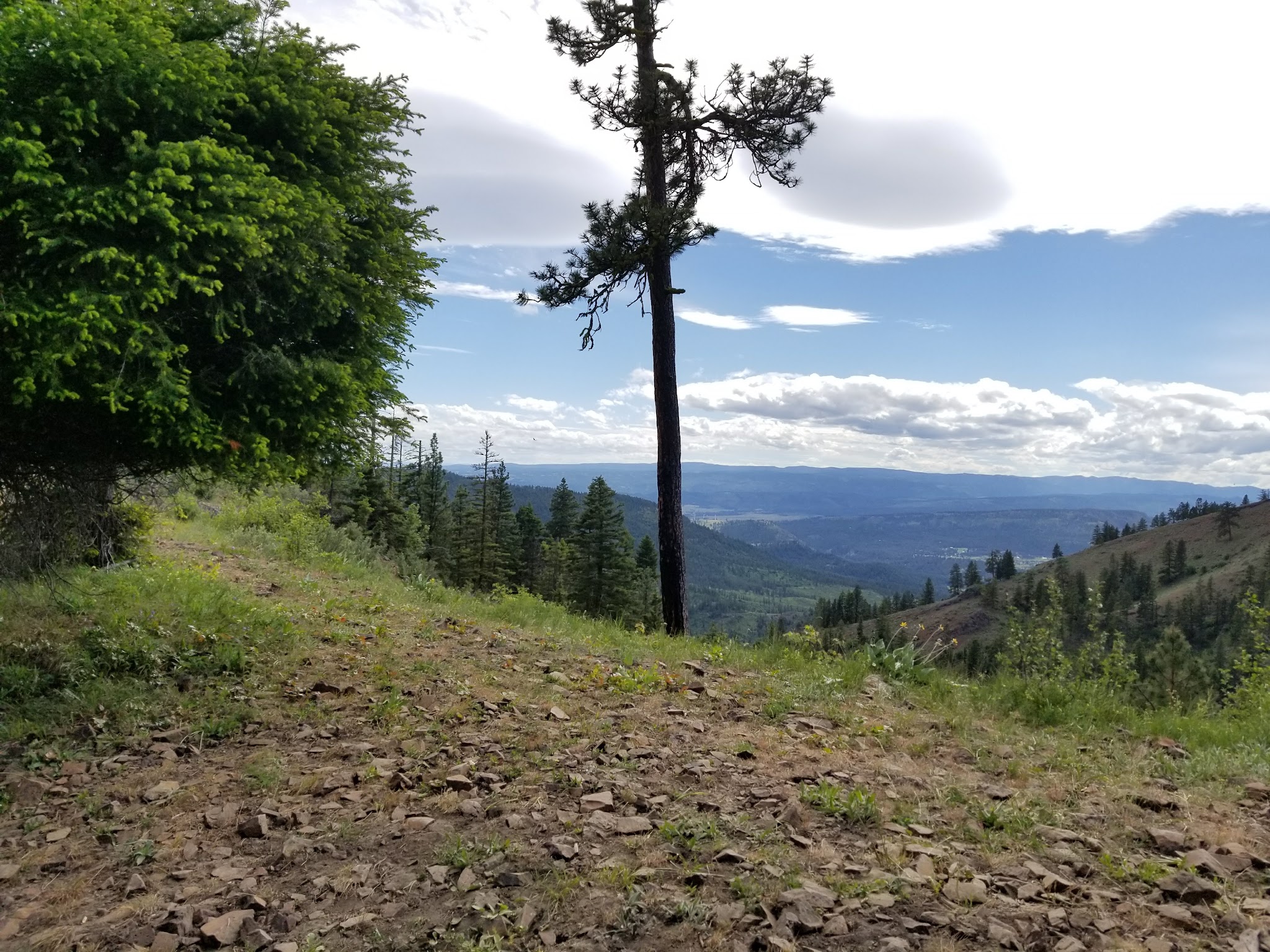 Ken Wilcox Campground At Haney Meadows