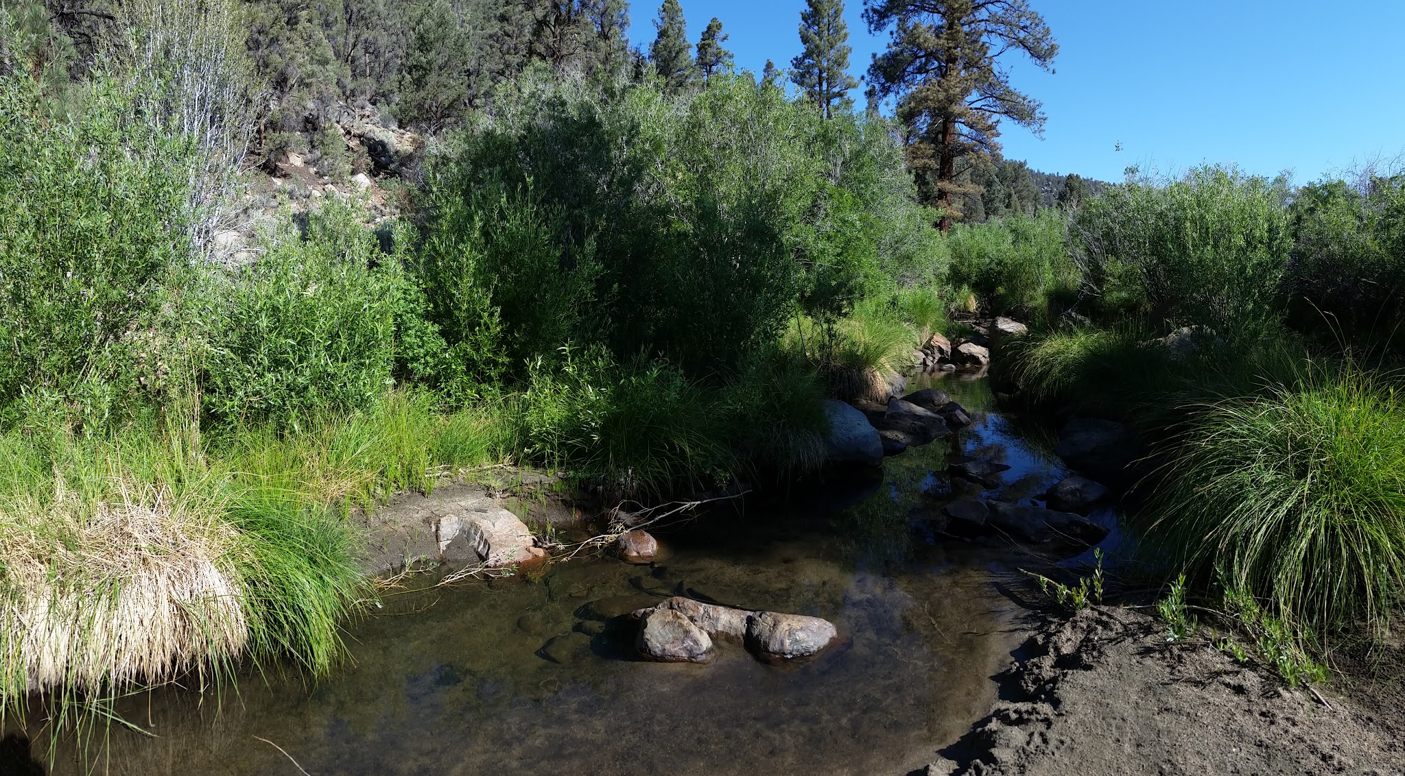 Kennedy Meadows Campground