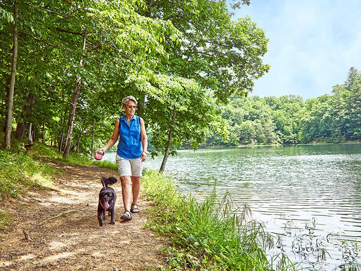 Greenbo Lake State Resort Park