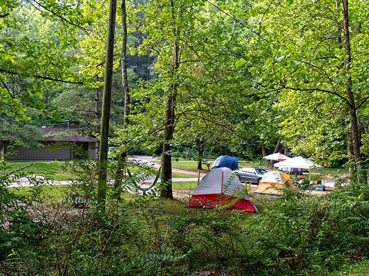 Natural Bridge State Resort Park