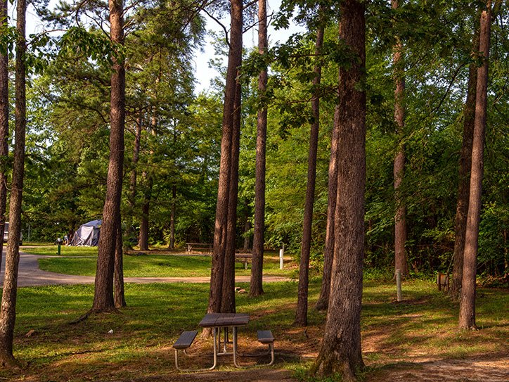 Pennyrile Forest State Resort Park