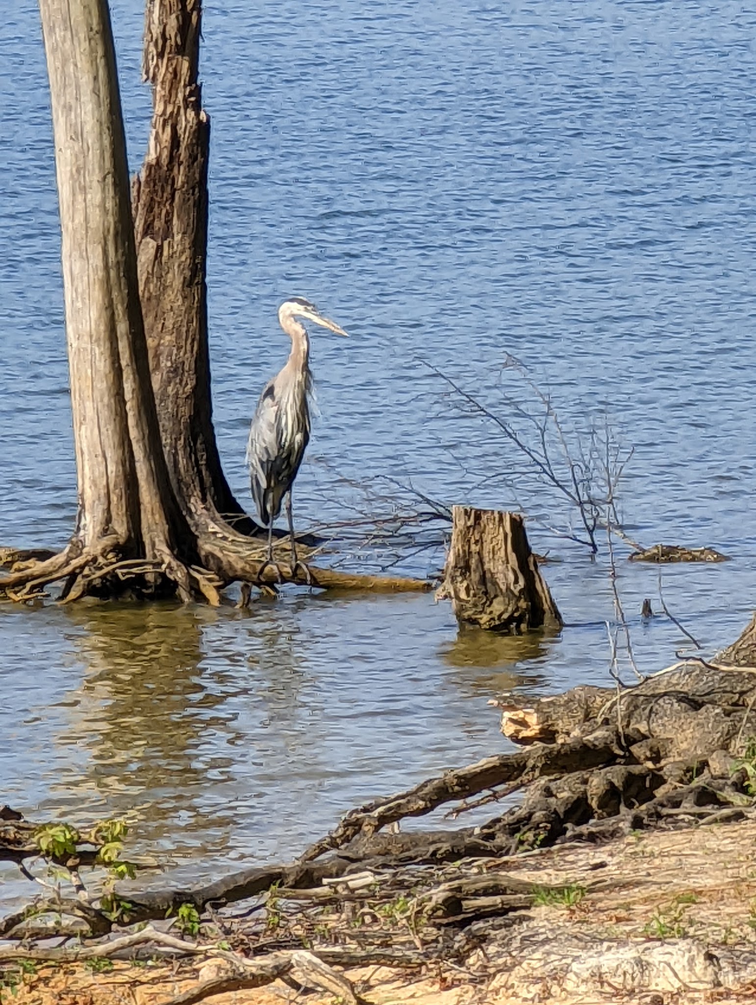 Kerr Lake State Recreation Area
