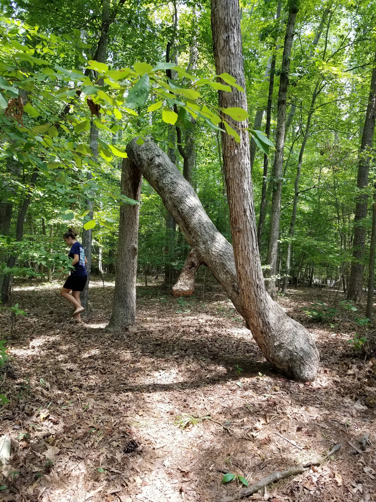 Kerr Lake State Recreation Area