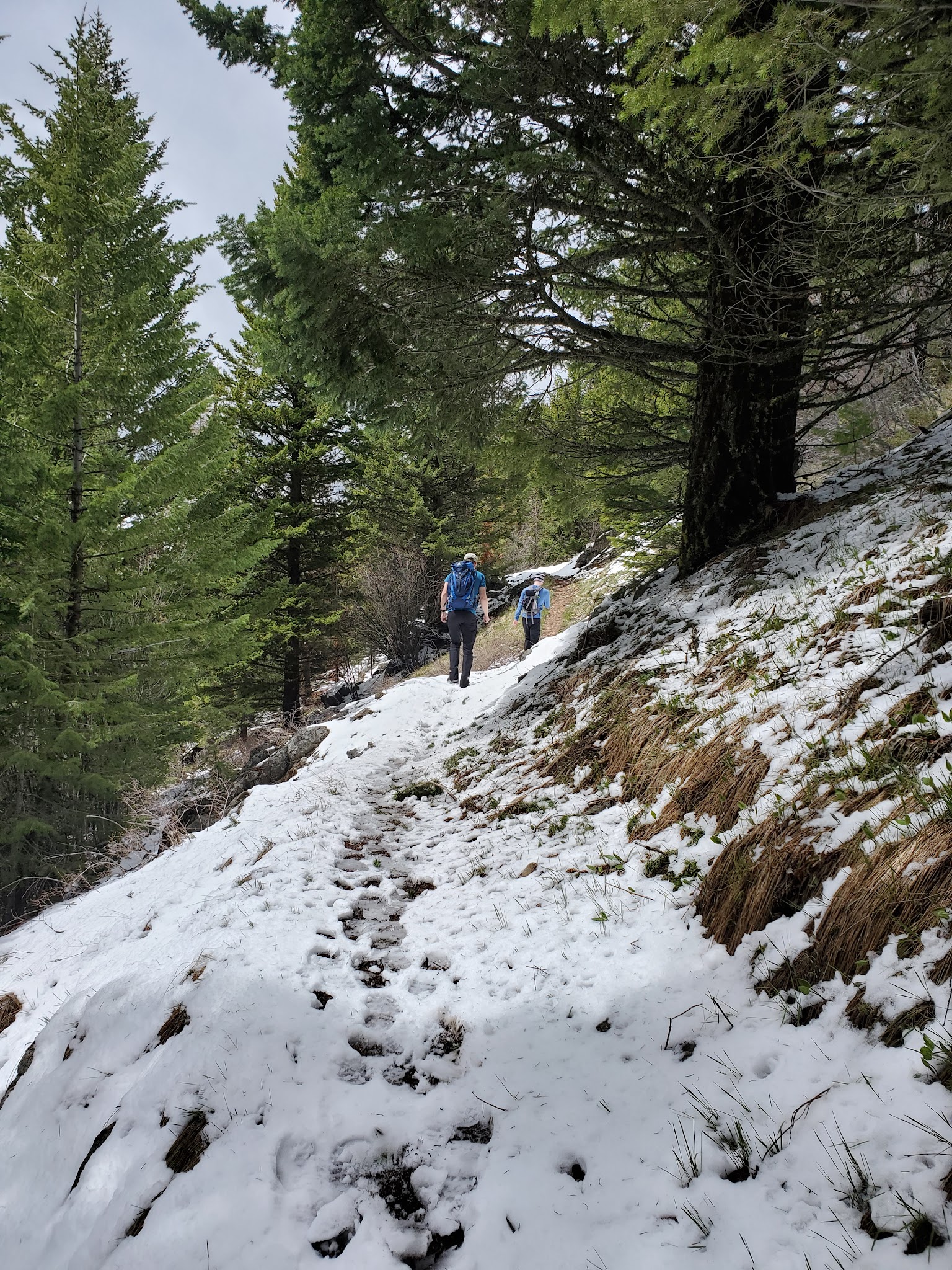Kettle Crest Trailhead (Sherman Pass)