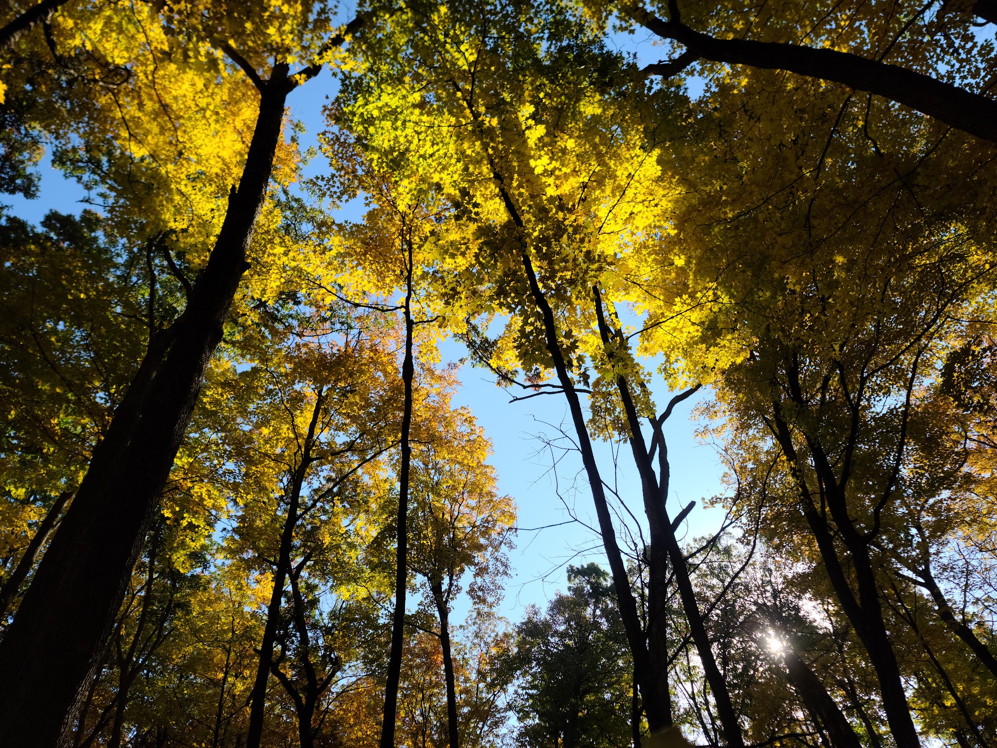 Kettle Moraine State Forest - Northern Unit