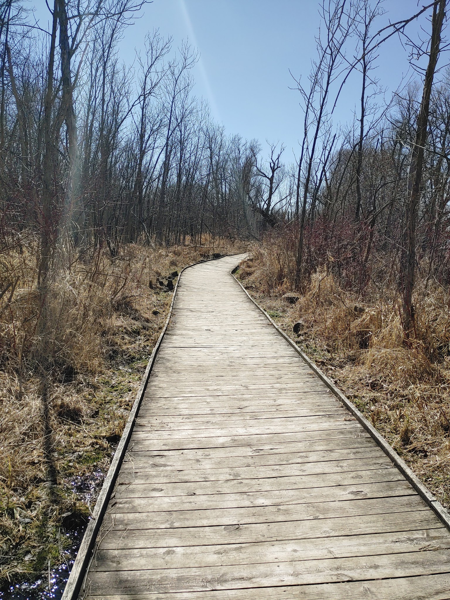 Kettle Moraine State Forest - Pike Lake Unit
