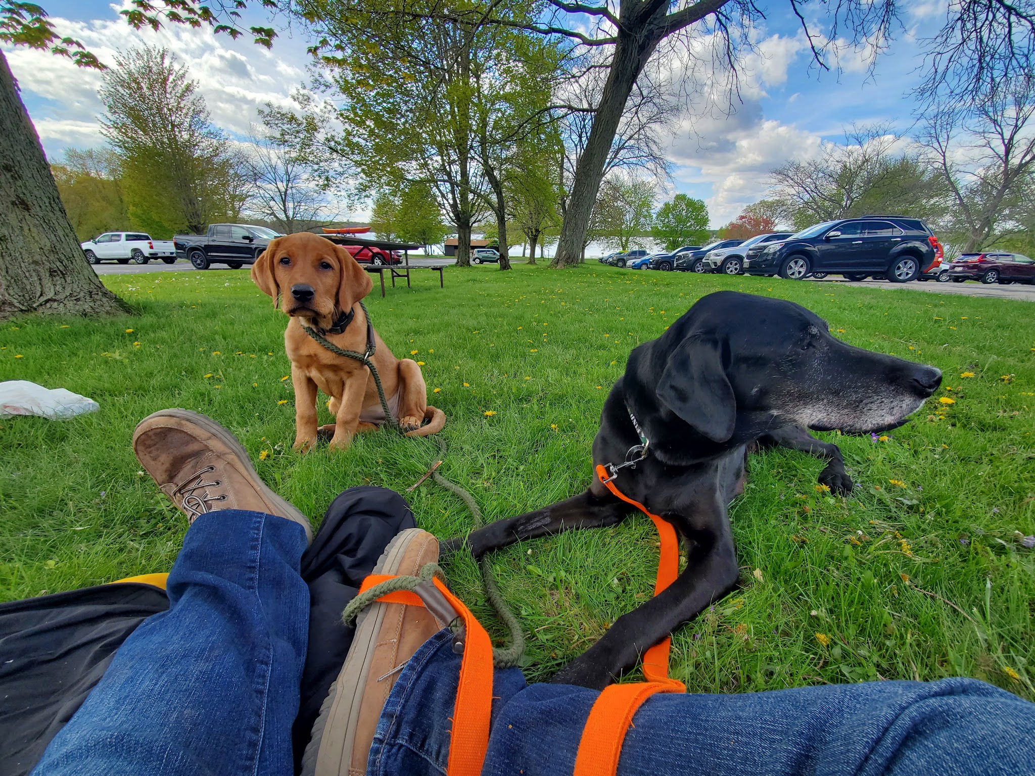 Kettle Moraine State Forest - Pike Lake Unit