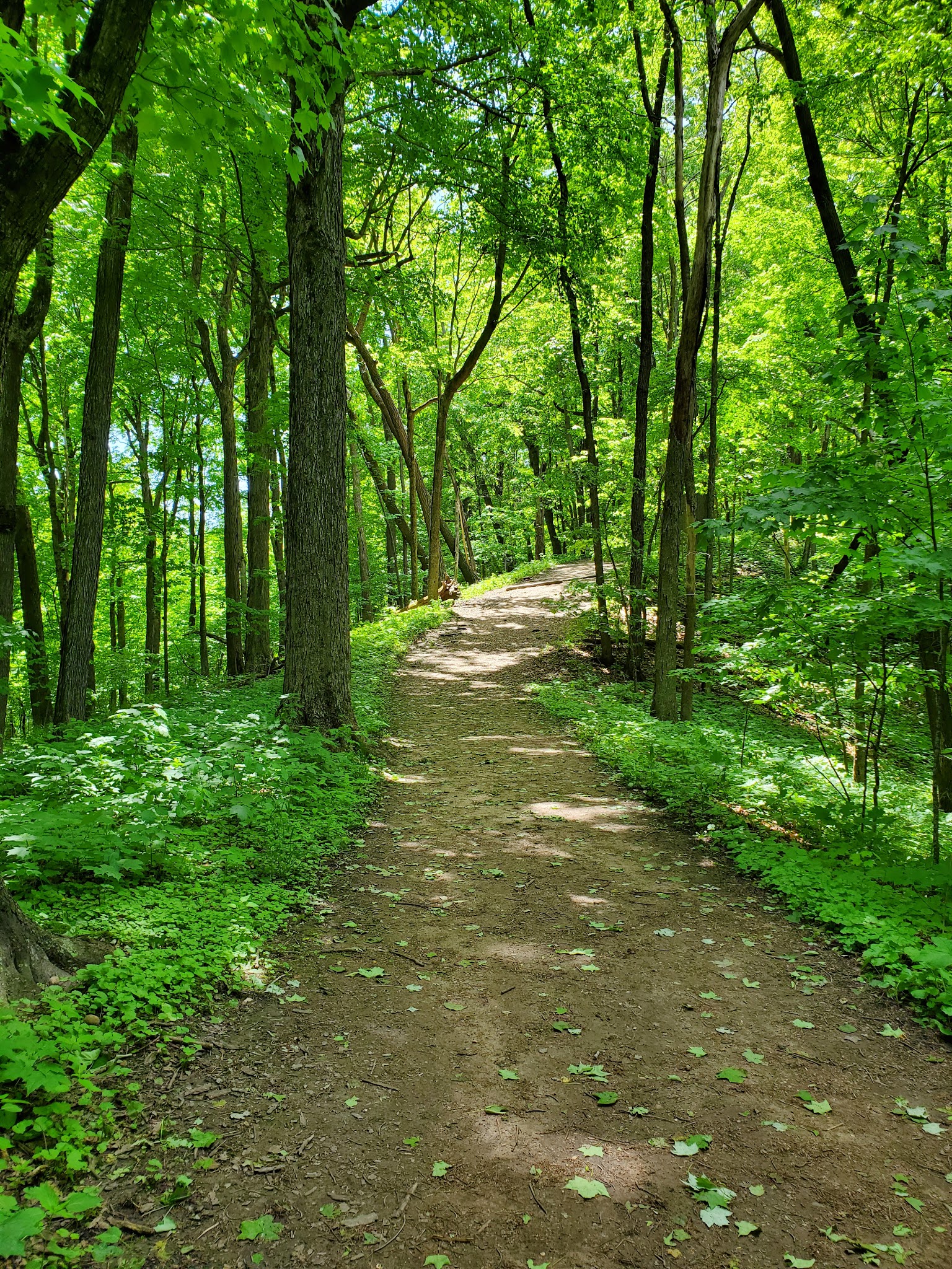 Kettle Moraine State Forest - Pike Lake Unit