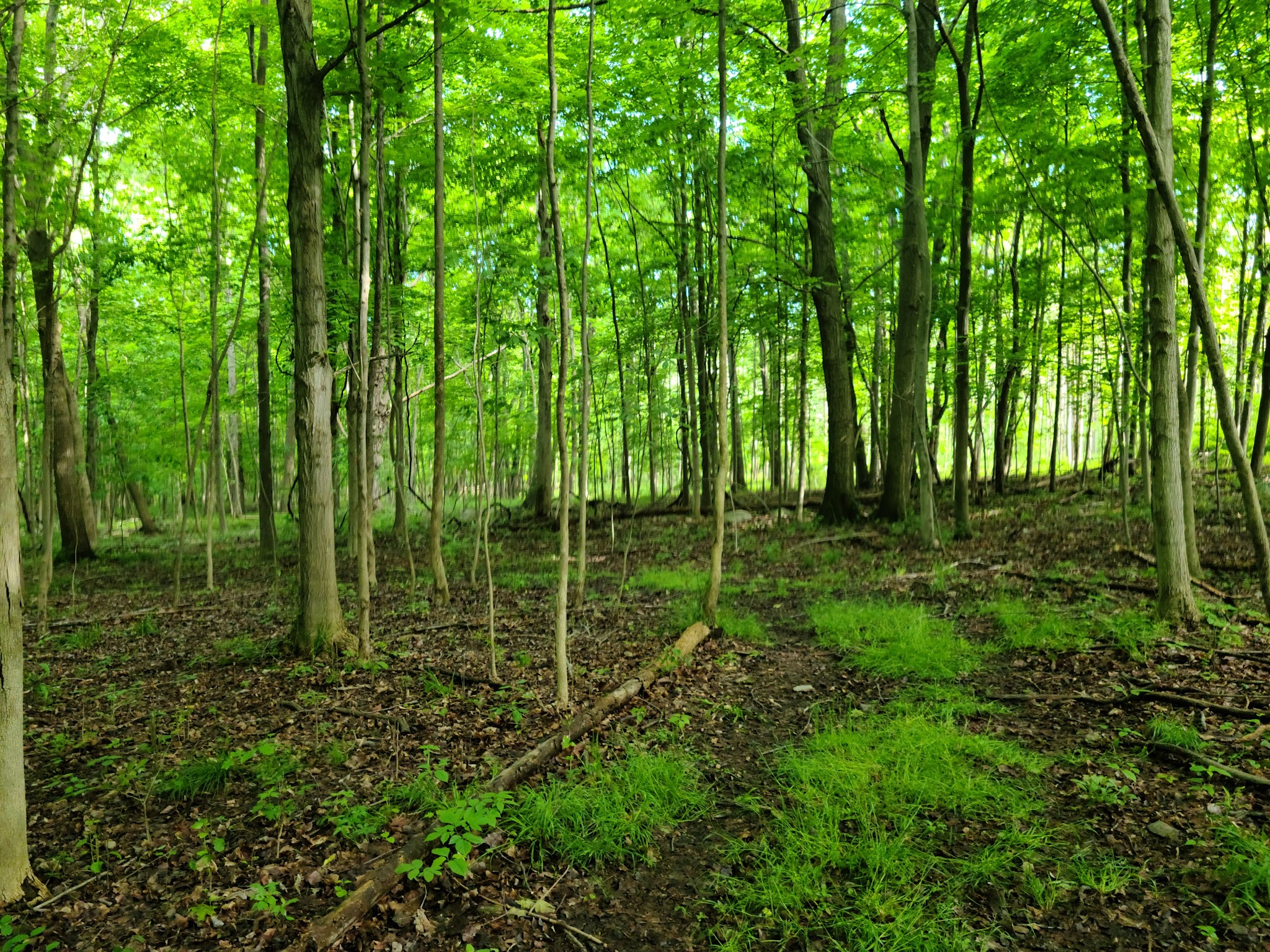 Keuka Lake State Park