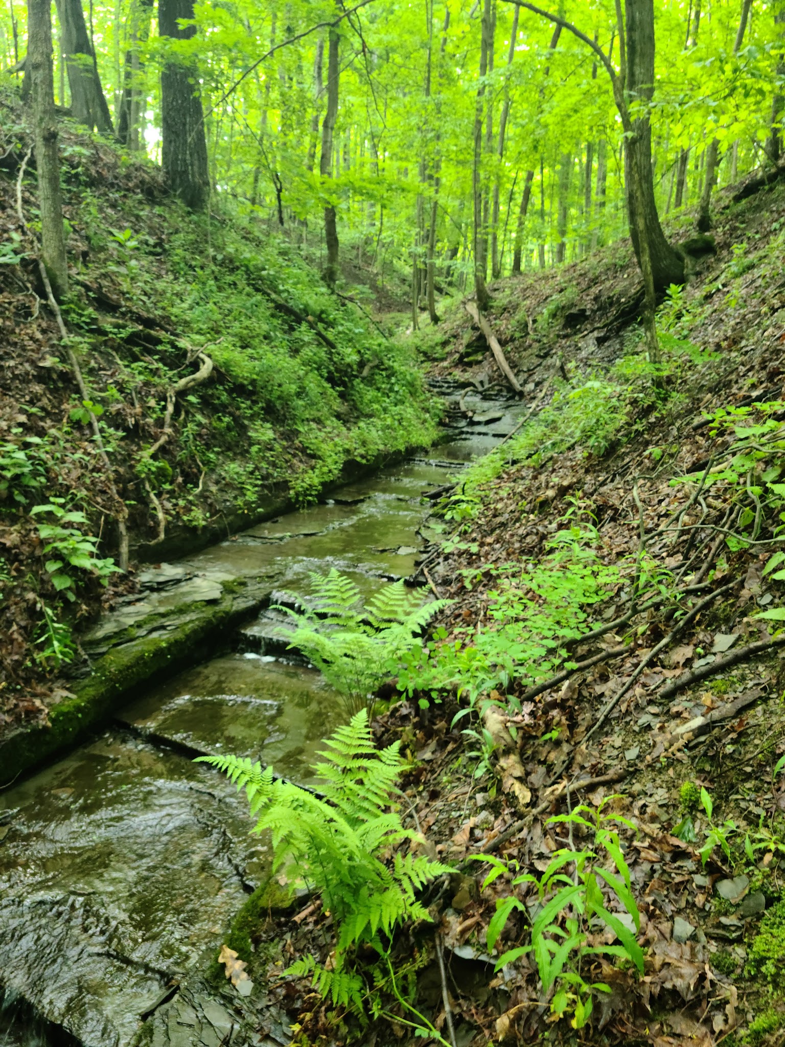 Keuka Lake State Park