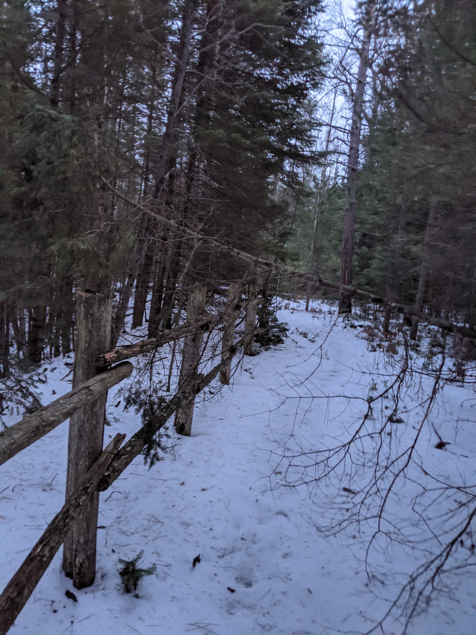 Keystone Landing State Forest Campground