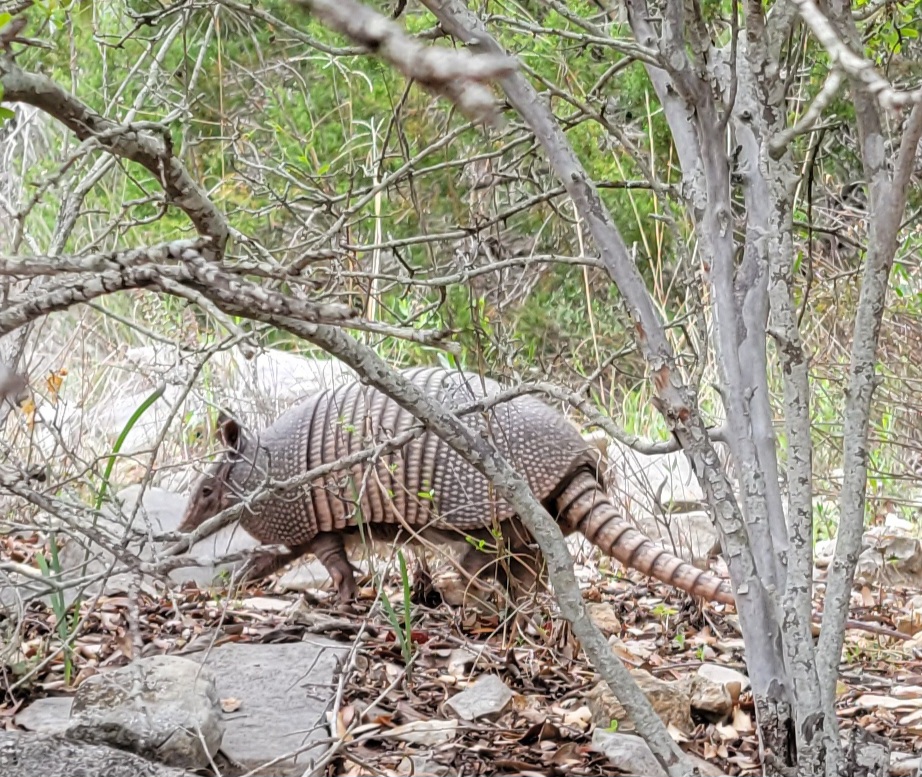 Kickapoo Cavern State Park