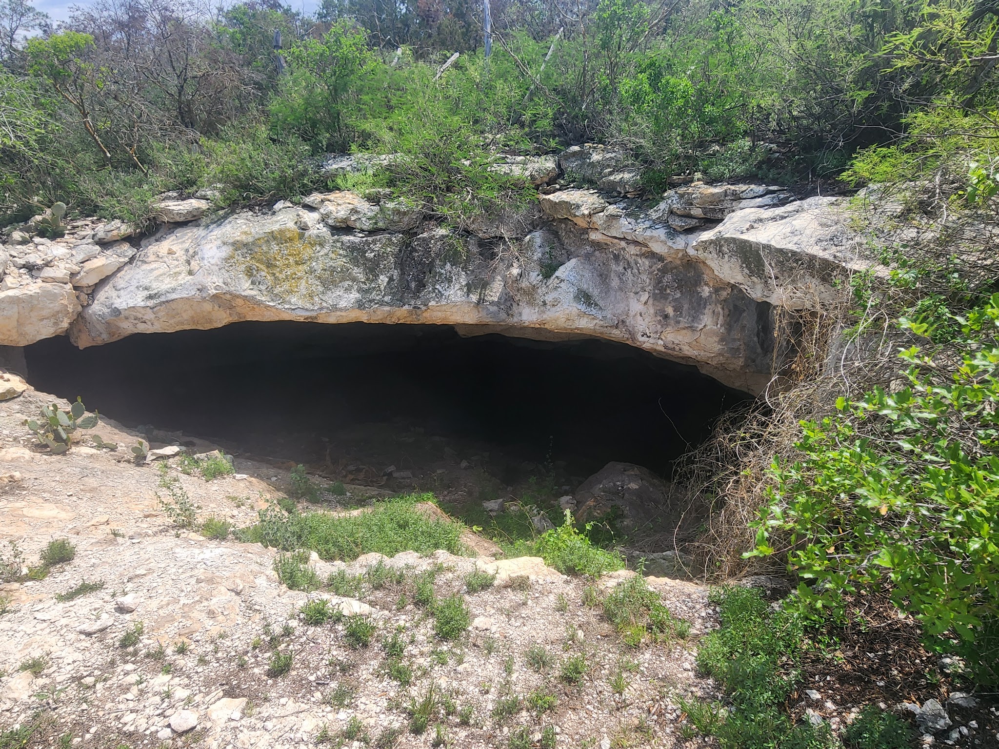 Kickapoo Cavern State Park