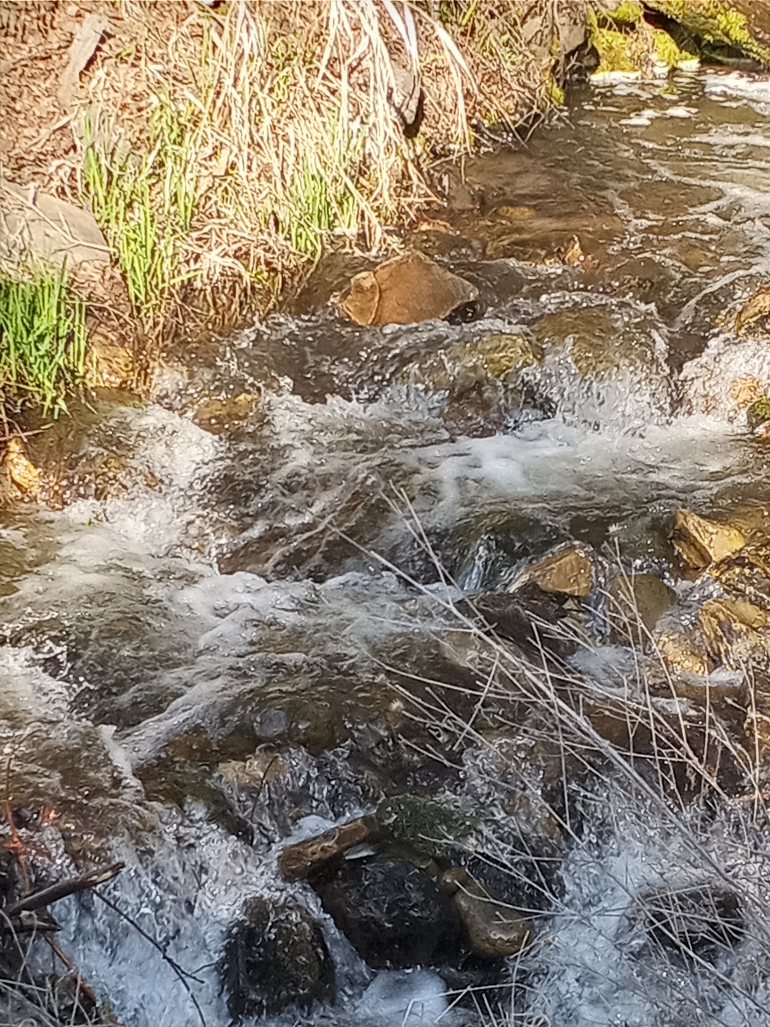 Kilbrennan Lake Campground