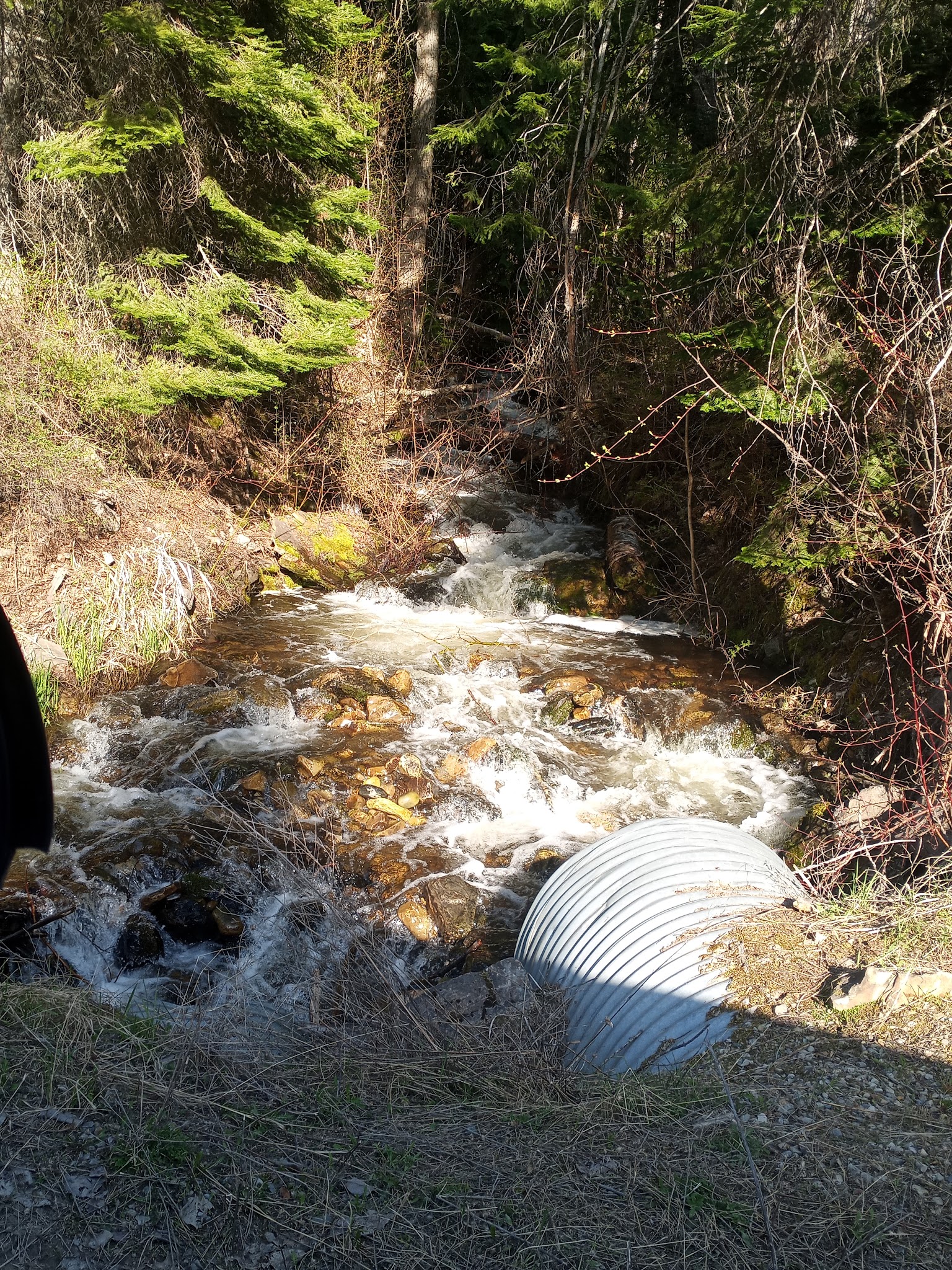 Kilbrennan Lake Campground