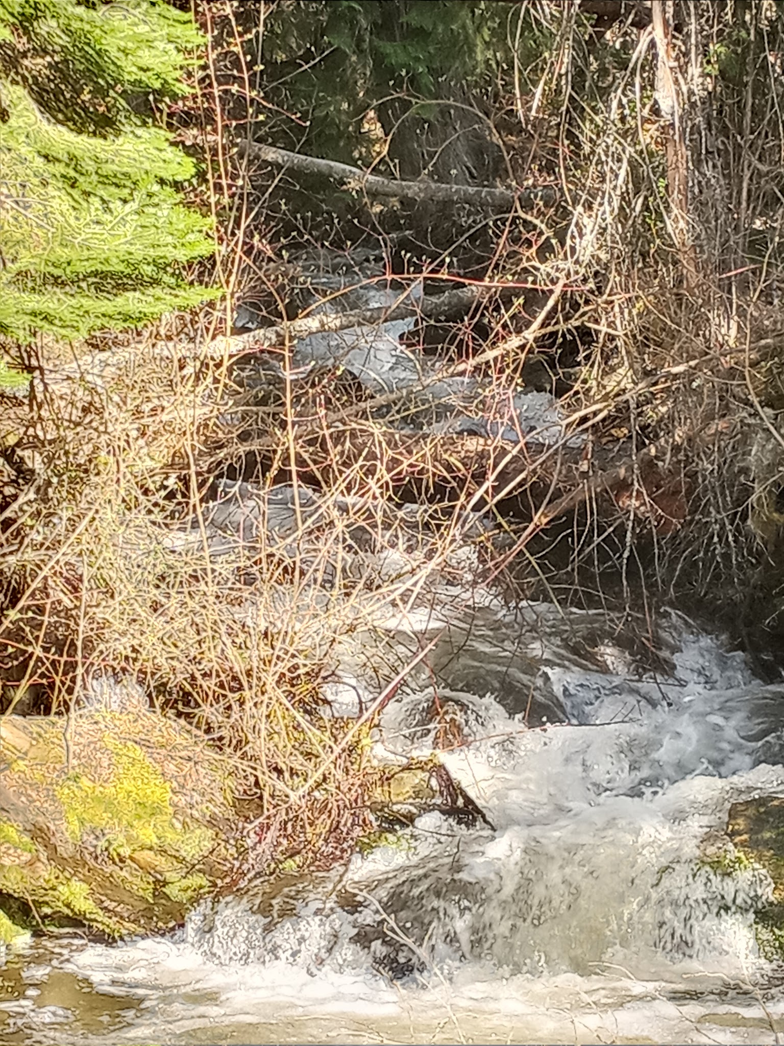 Kilbrennan Lake Campground