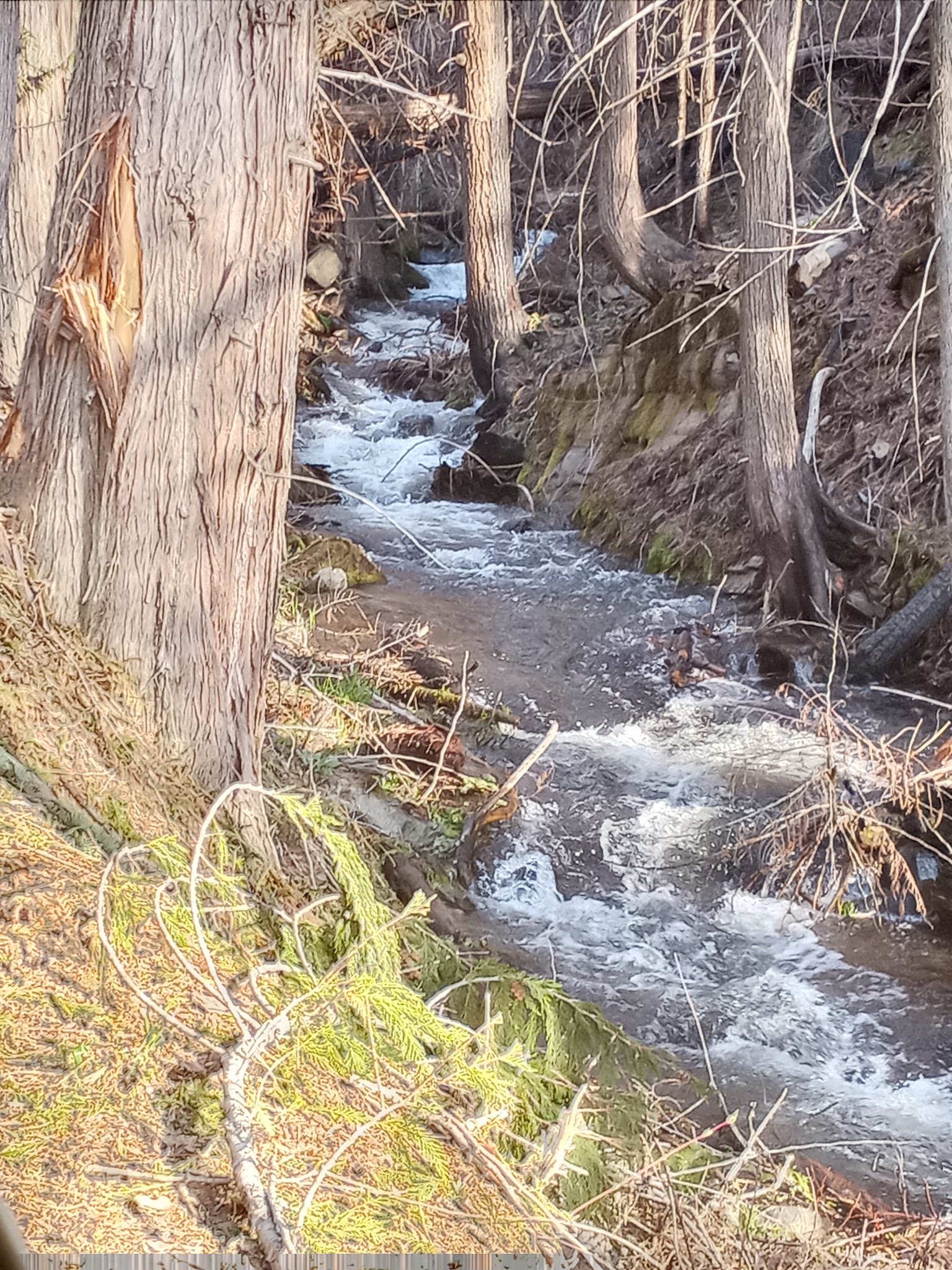 Kilbrennan Lake Campground