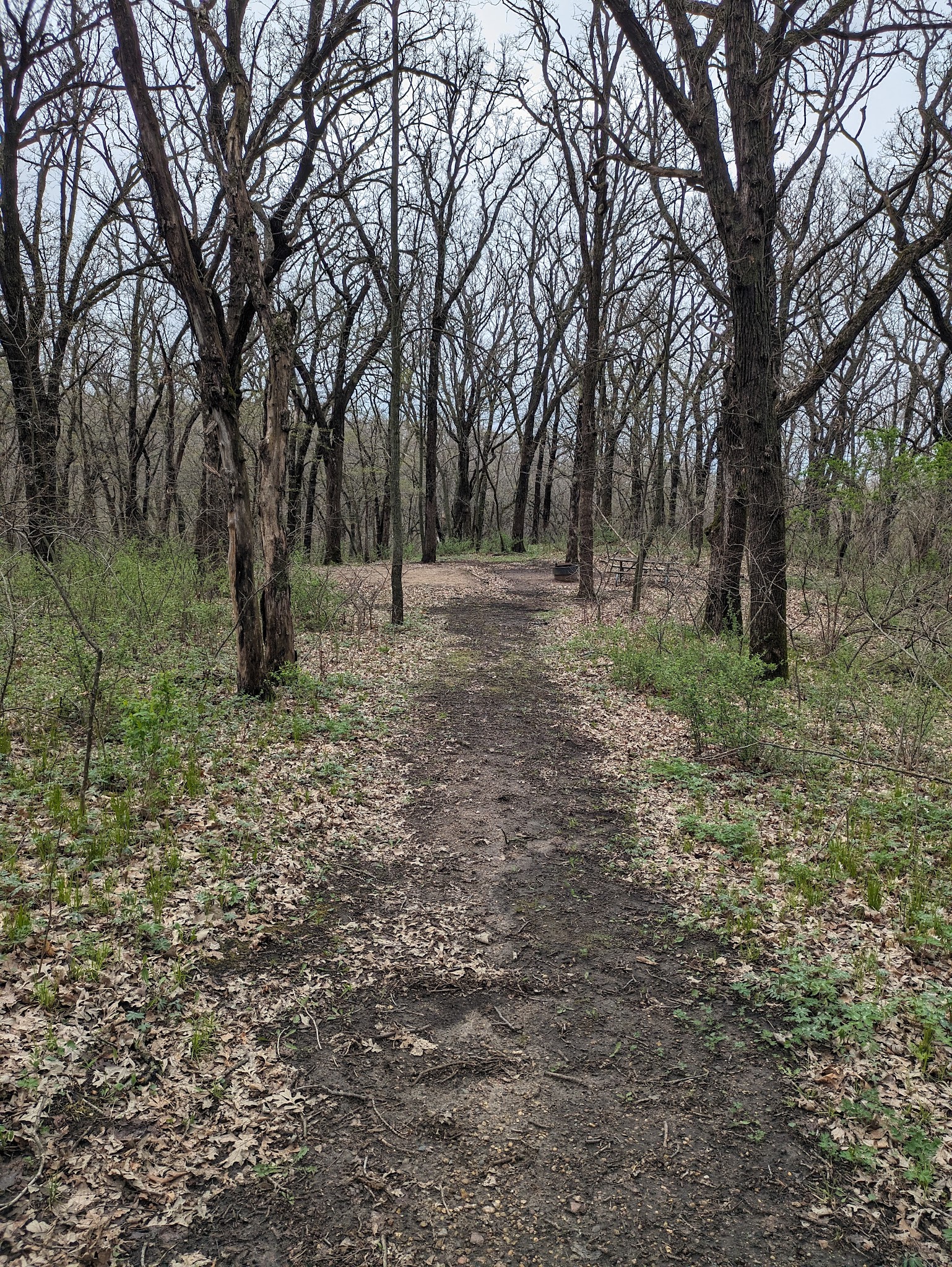 Kilen Woods Campground