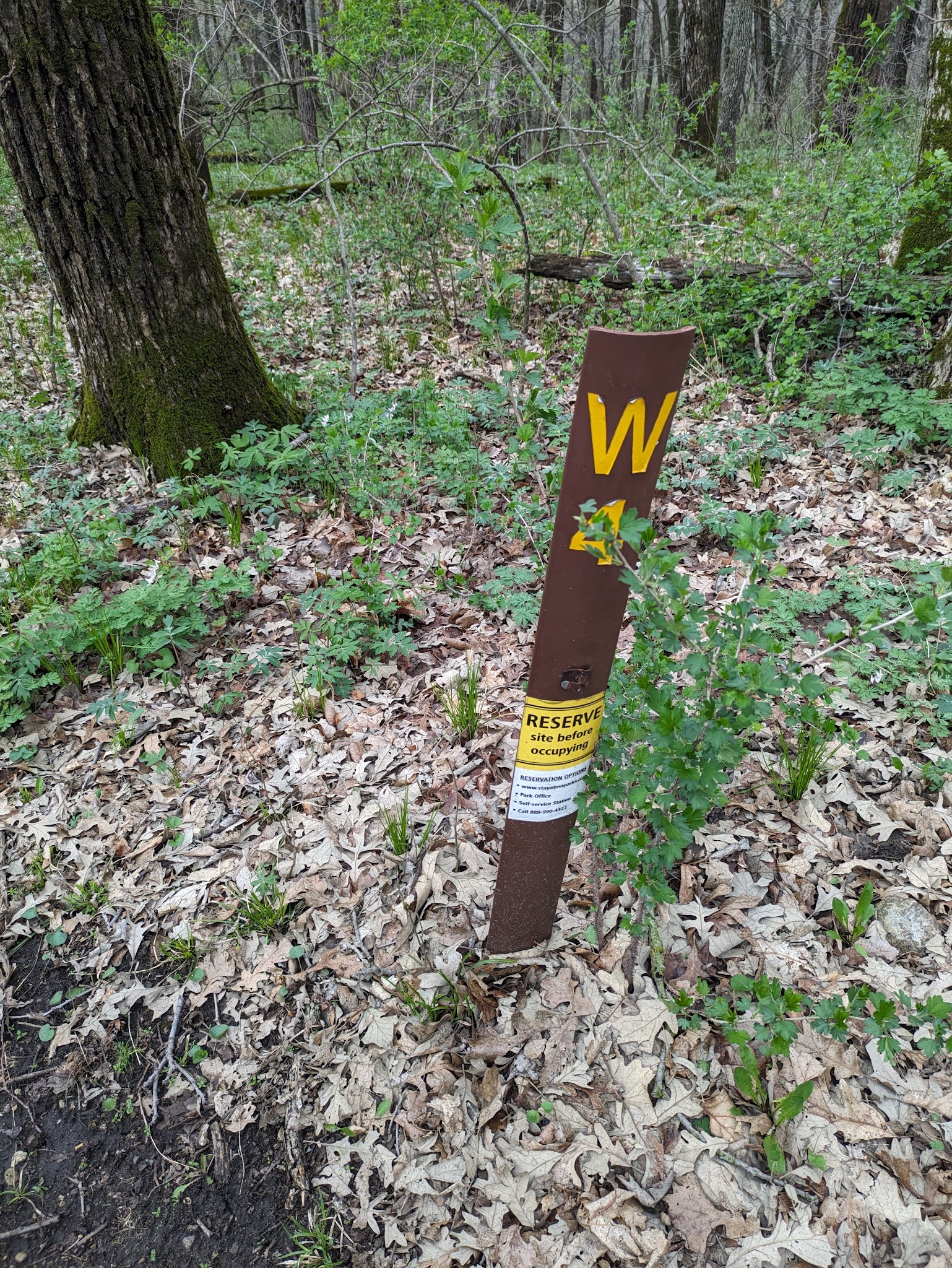 Kilen Woods Campground