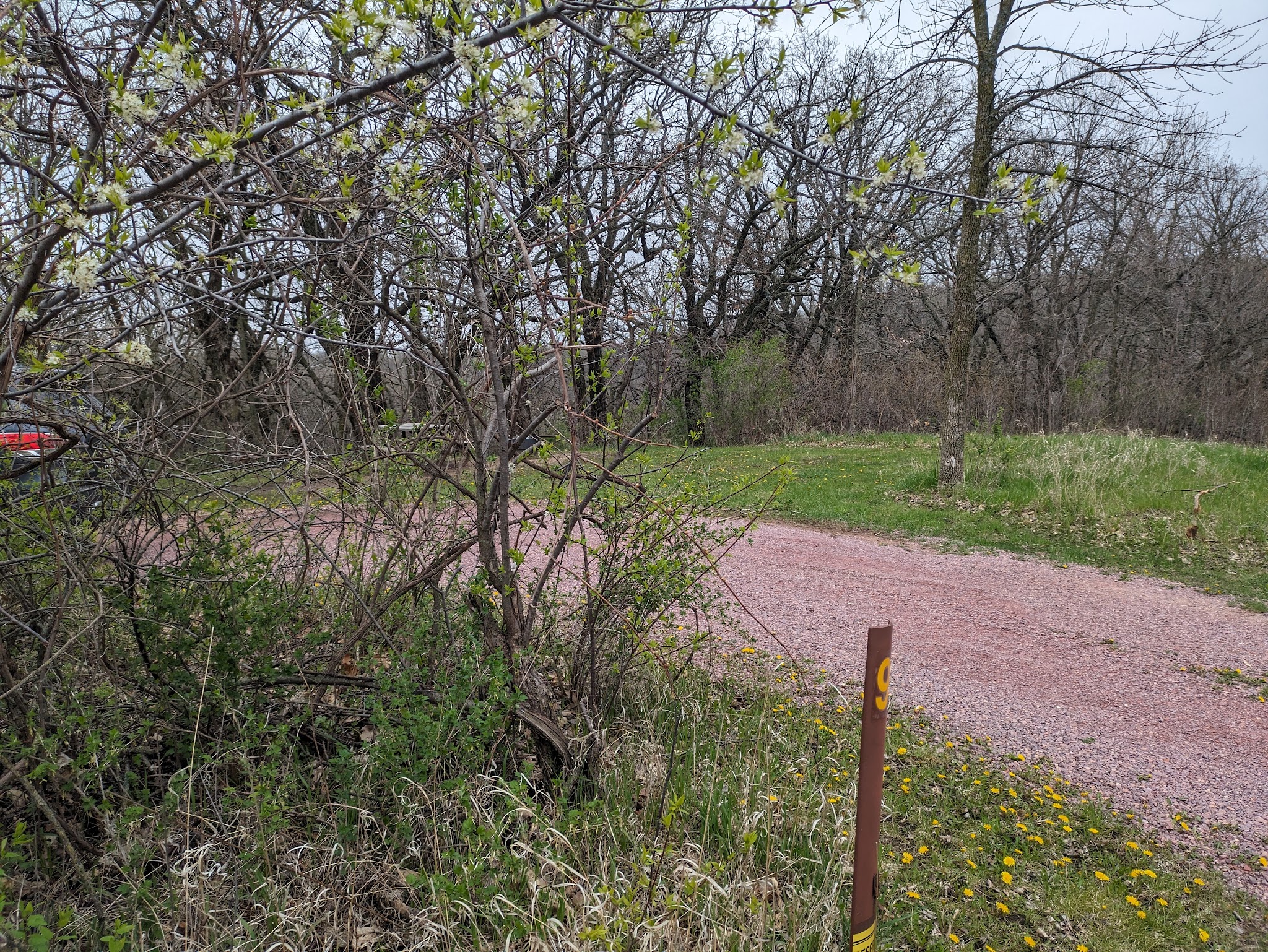 Kilen Woods Campground