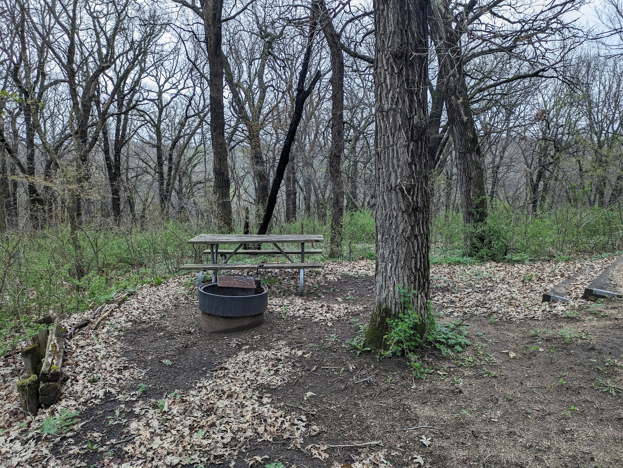 Kilen Woods Campground