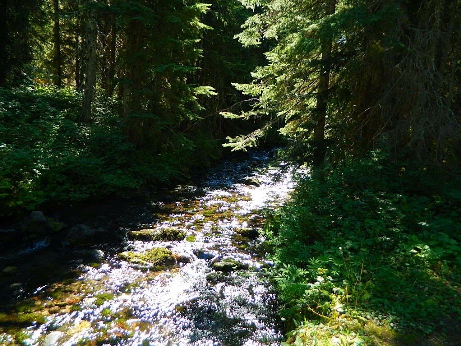 Campground: Killen Creek