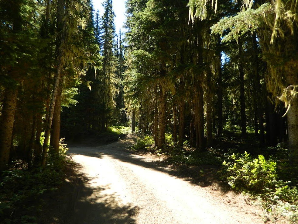 Campground: Killen Creek