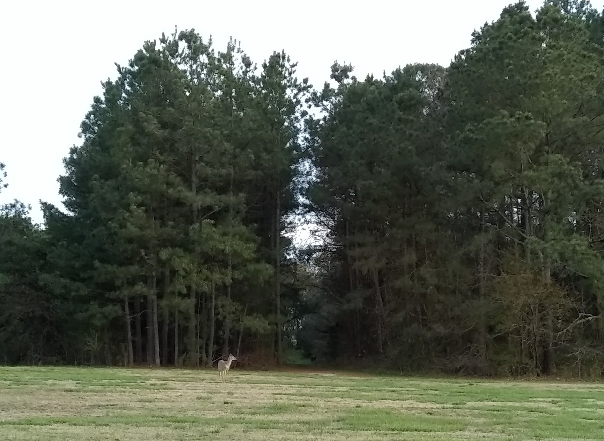 Killens Pond State Park