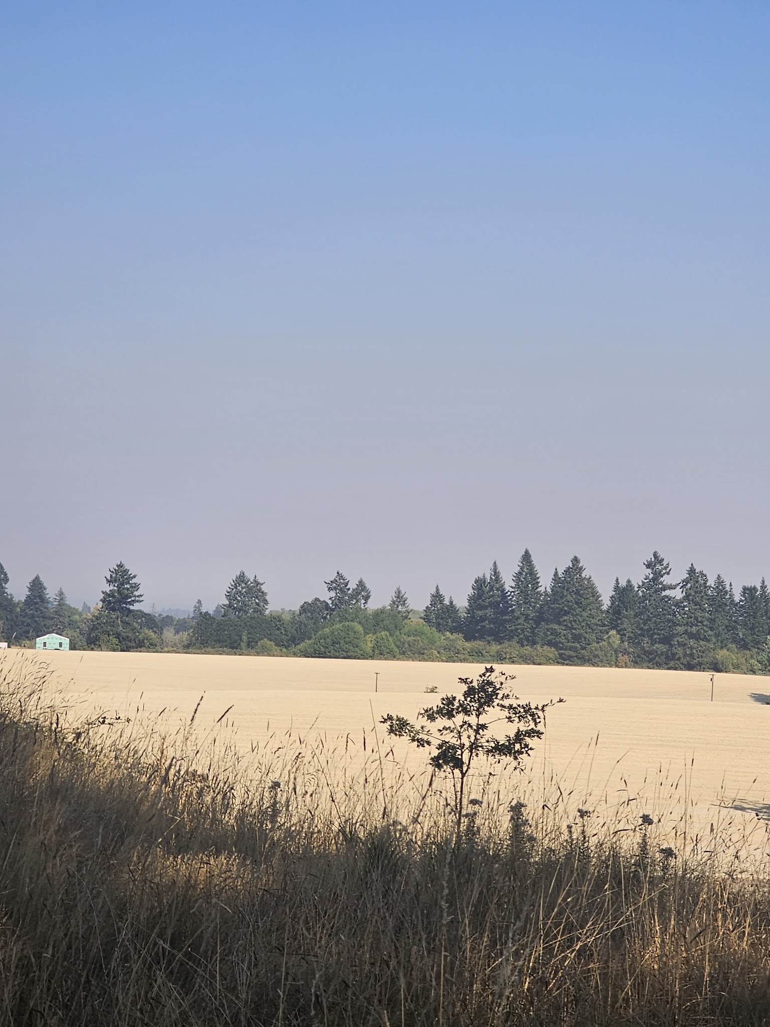 Killin Wetlands Nature Park Activities Campground