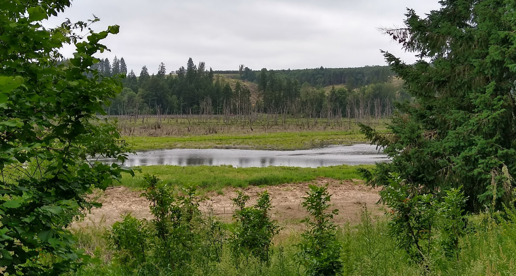 Killin Wetlands Nature Park Activities Campground