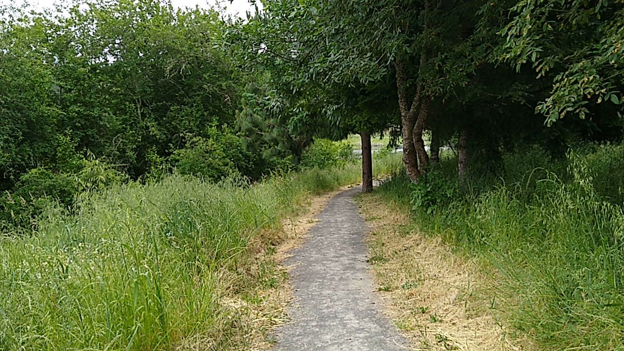 Killin Wetlands Nature Park Activities Campground