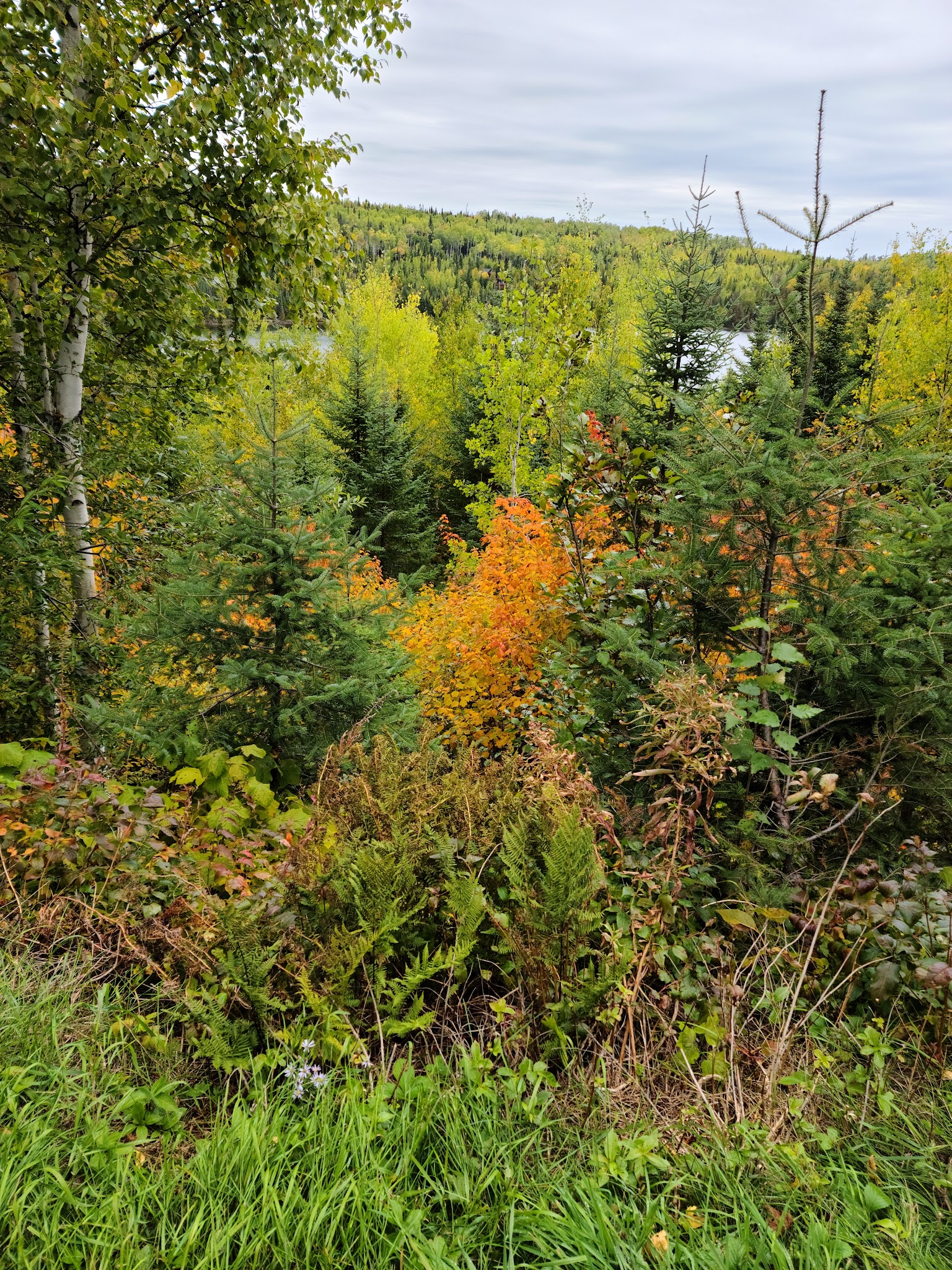 Kimball Lake Campground